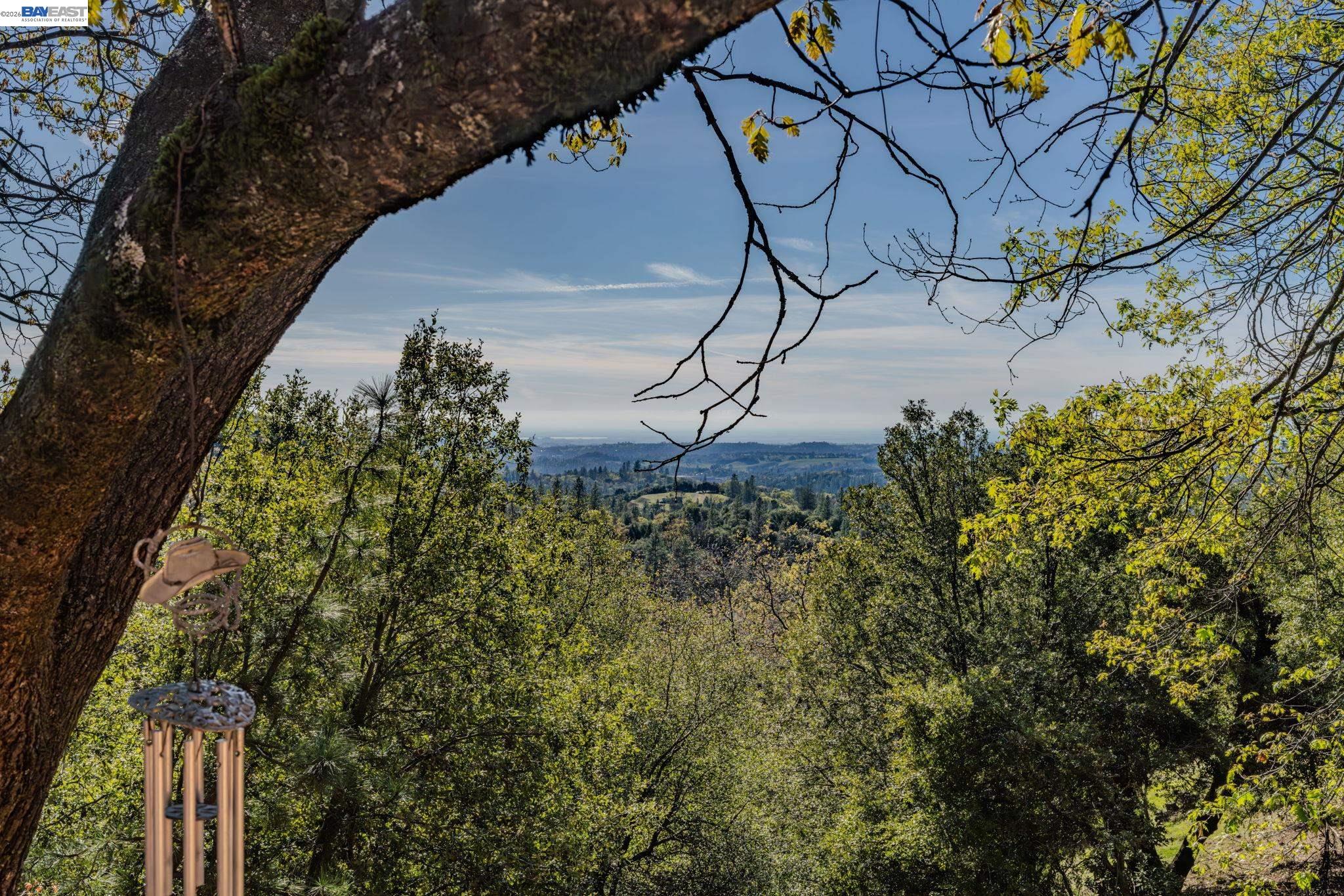 Detail Gallery Image 57 of 60 For 13771 West Ct, Pine Grove,  CA 95665 - 3 Beds | 2 Baths