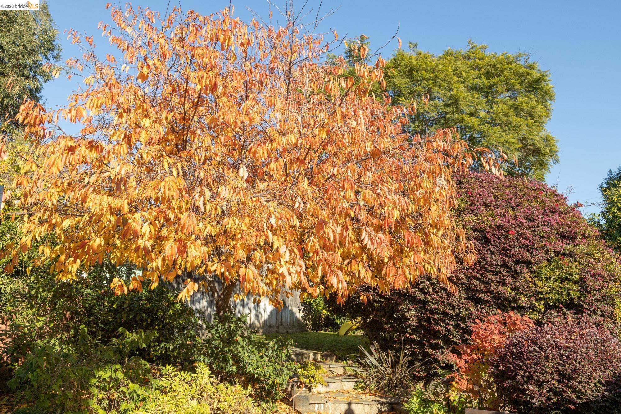 Detail Gallery Image 24 of 60 For 4452 Davenport Ave, Oakland,  CA 94619 - 4 Beds | 4 Baths