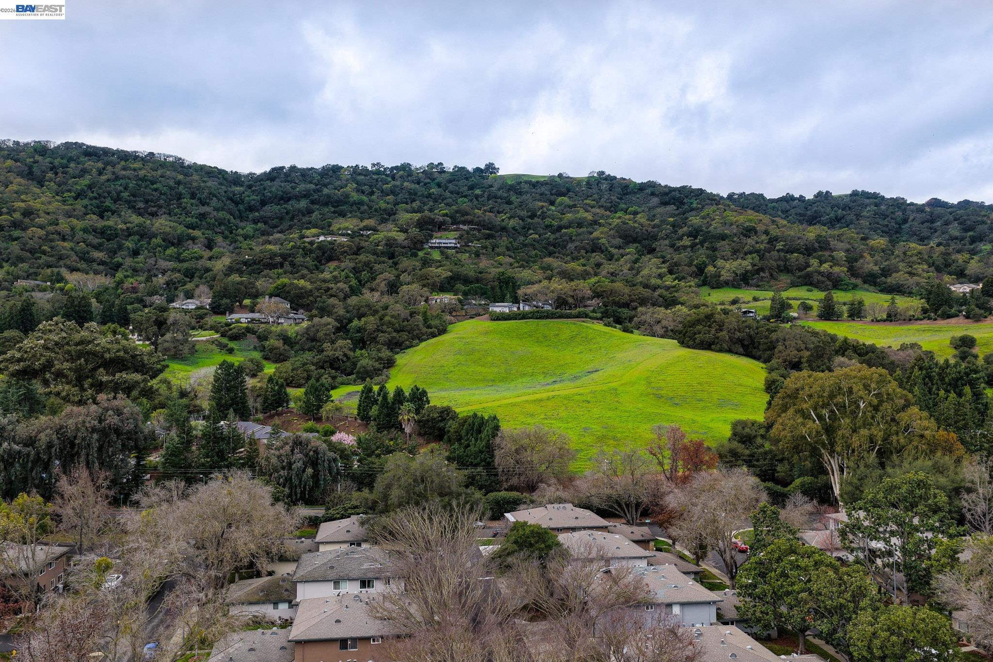 Photo #37: 41124729 Listing: Photo #37