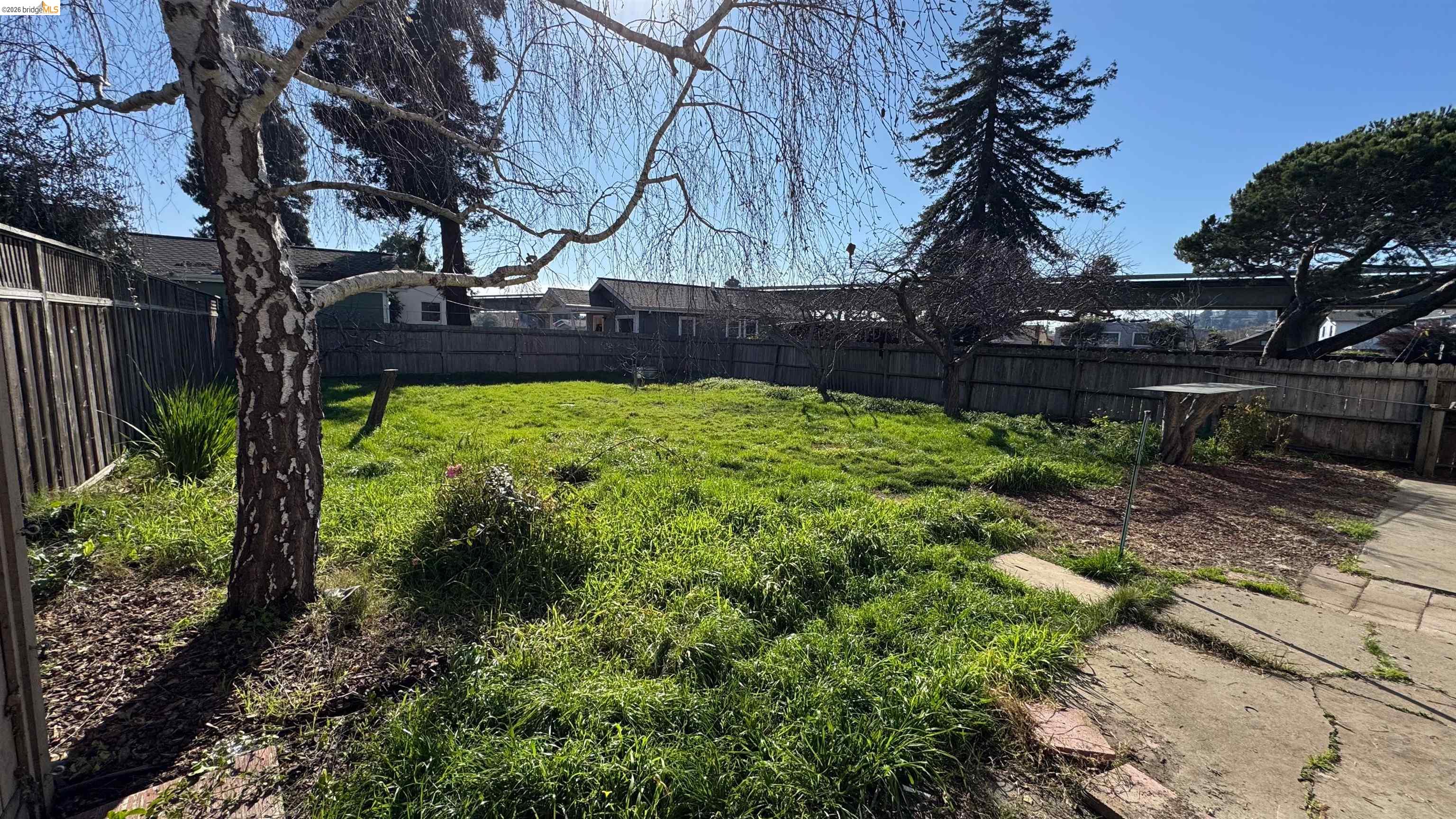 Detail Gallery Image 46 of 48 For 1266 N Washington Ave, Albany,  CA 94706-1733 - 2 Beds | 1/1 Baths