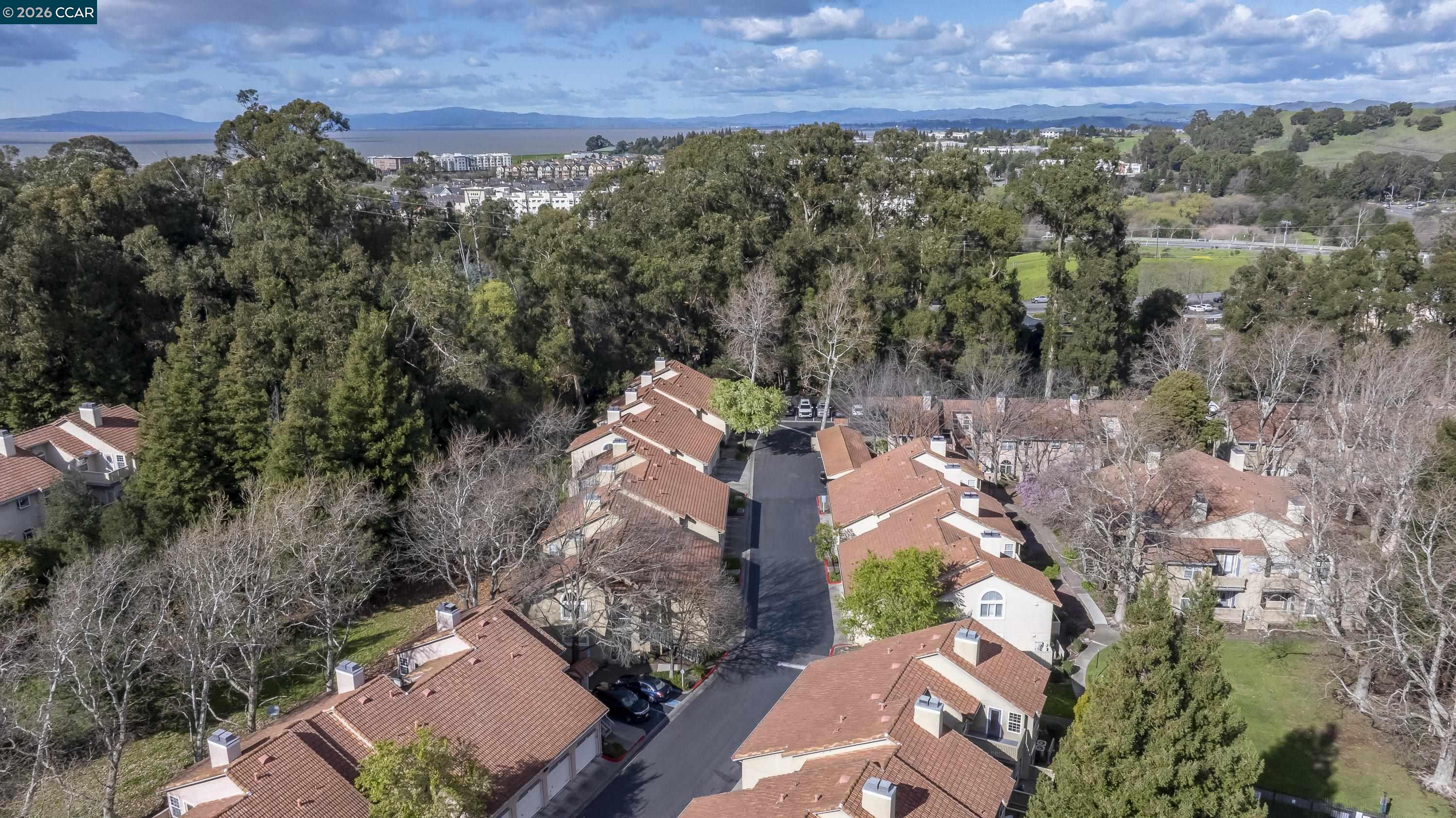 Photo #49: 41124738 Listing: Photo #49