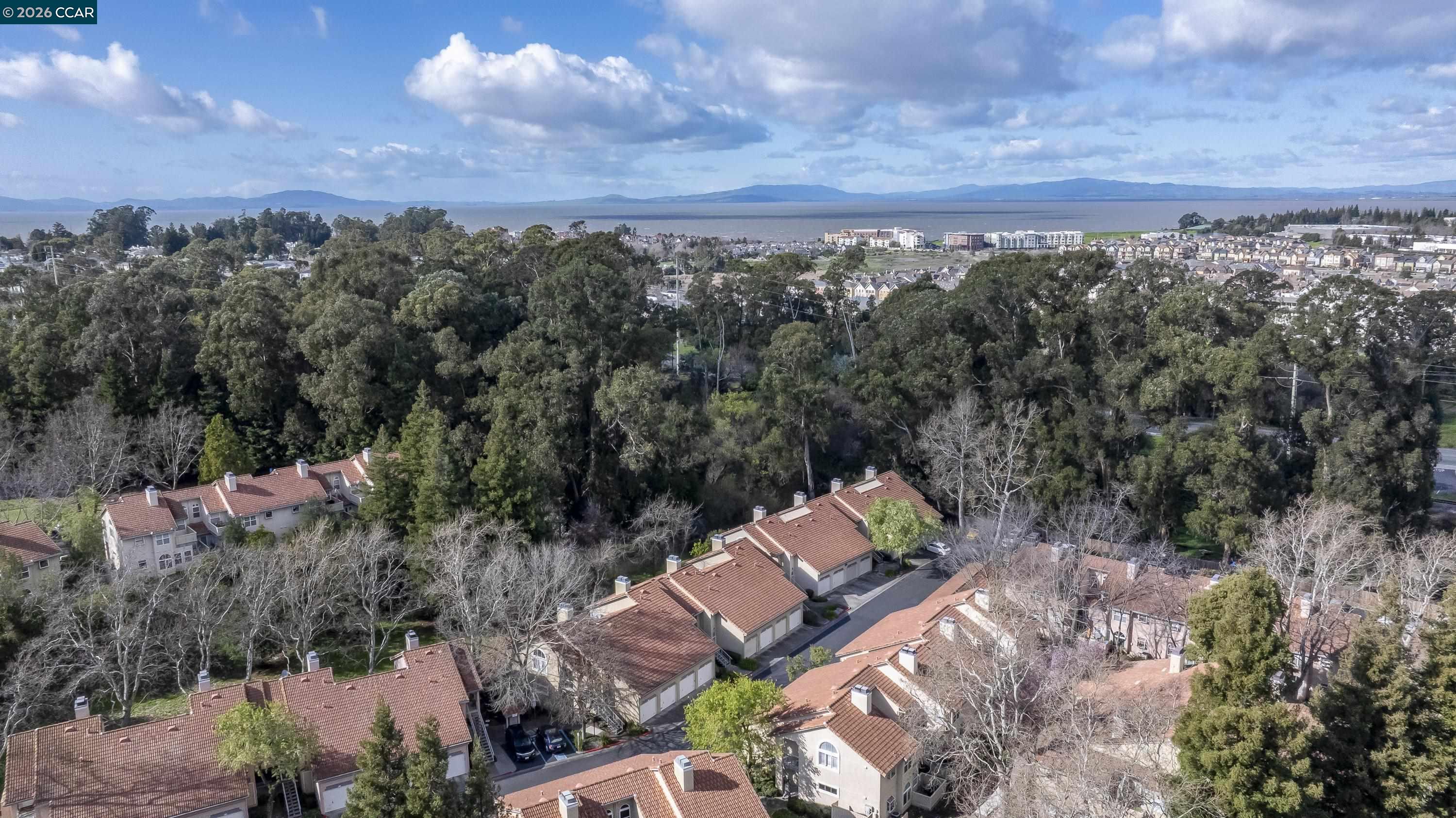 Photo #50: 41124738 Listing: Photo #50