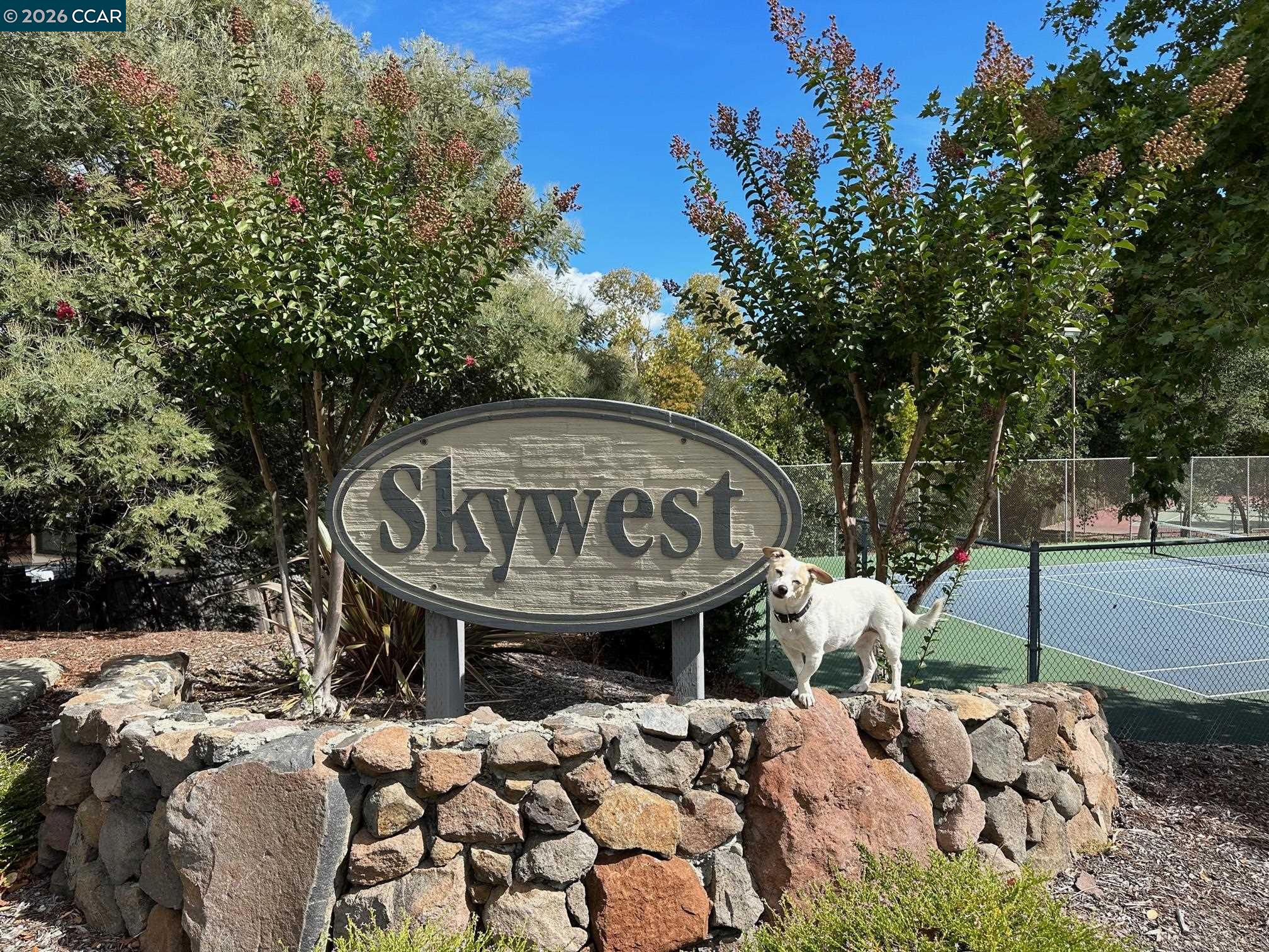 Photo #6: 41124752 Listing: Photo #6