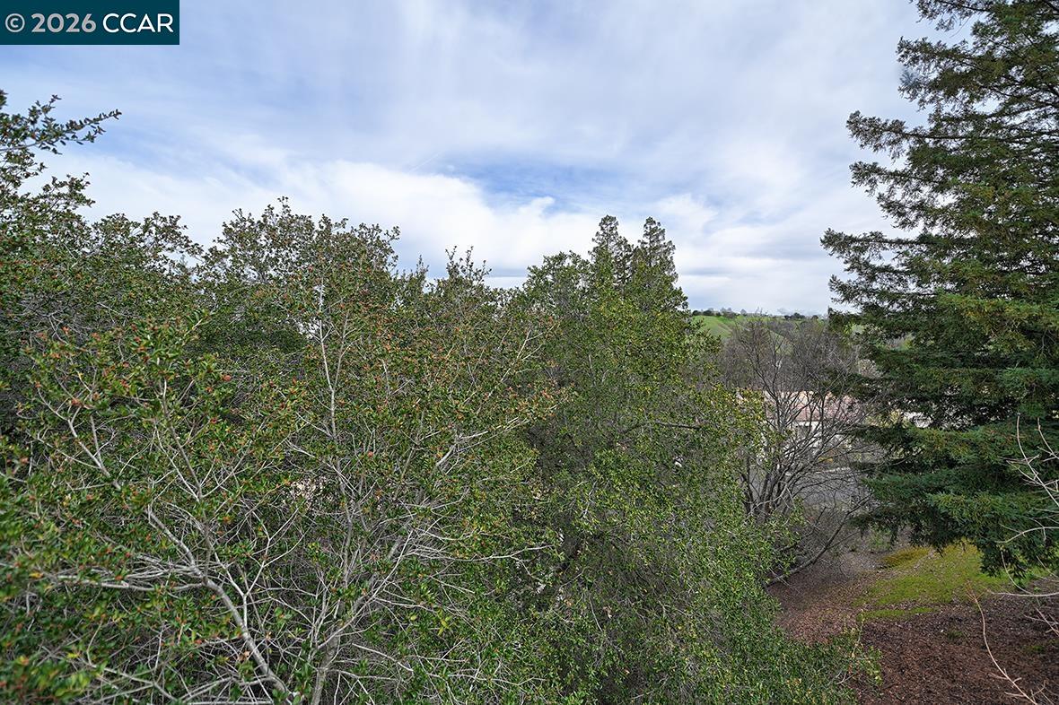 Photo #13: 41124755 Listing: Photo #13