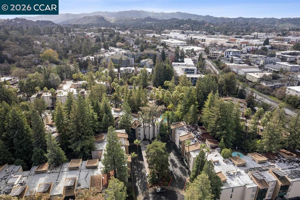 Detail Gallery Image 21 of 22 For 1246 Walker Ave #206,  Walnut Creek,  CA 94596 - 1 Beds | 1 Baths