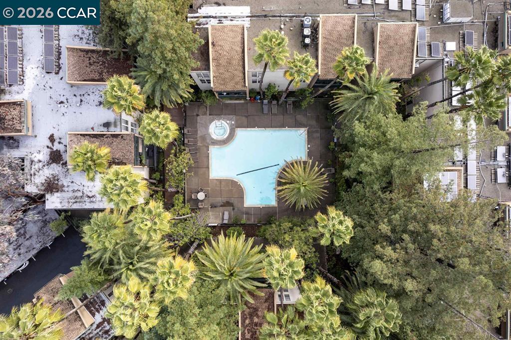 Detail Gallery Image 22 of 22 For 1246 Walker Ave #206,  Walnut Creek,  CA 94596 - 1 Beds | 1 Baths