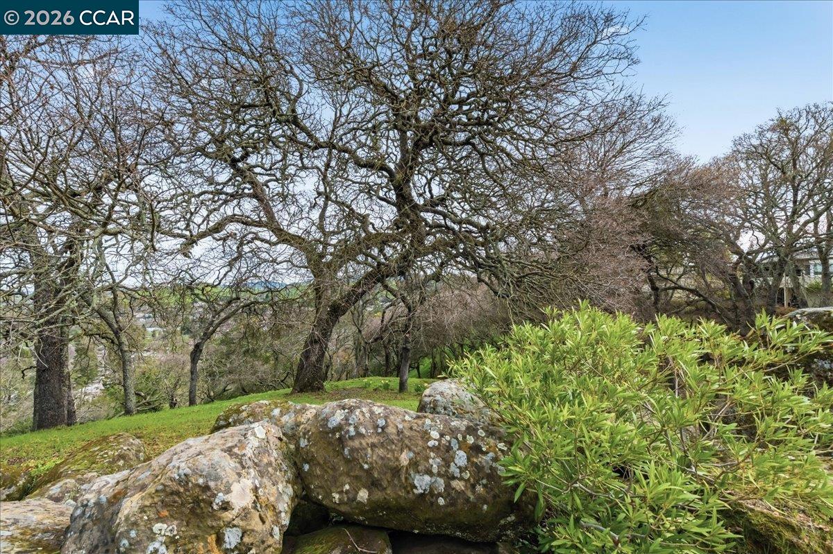 Photo #47: 41124782 Listing: Photo #47