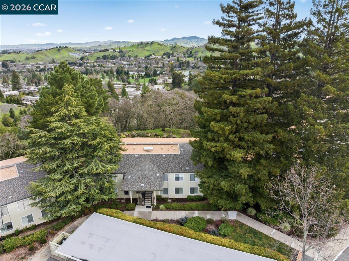 Photo #50: 41124782 Listing: Photo #50