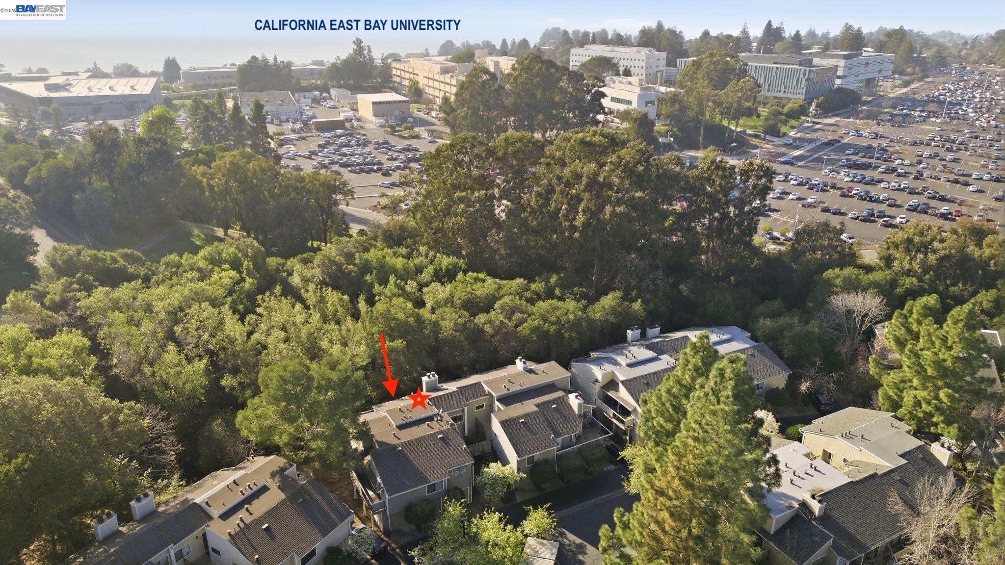 Photo #34: 41124784 Listing: Photo #34