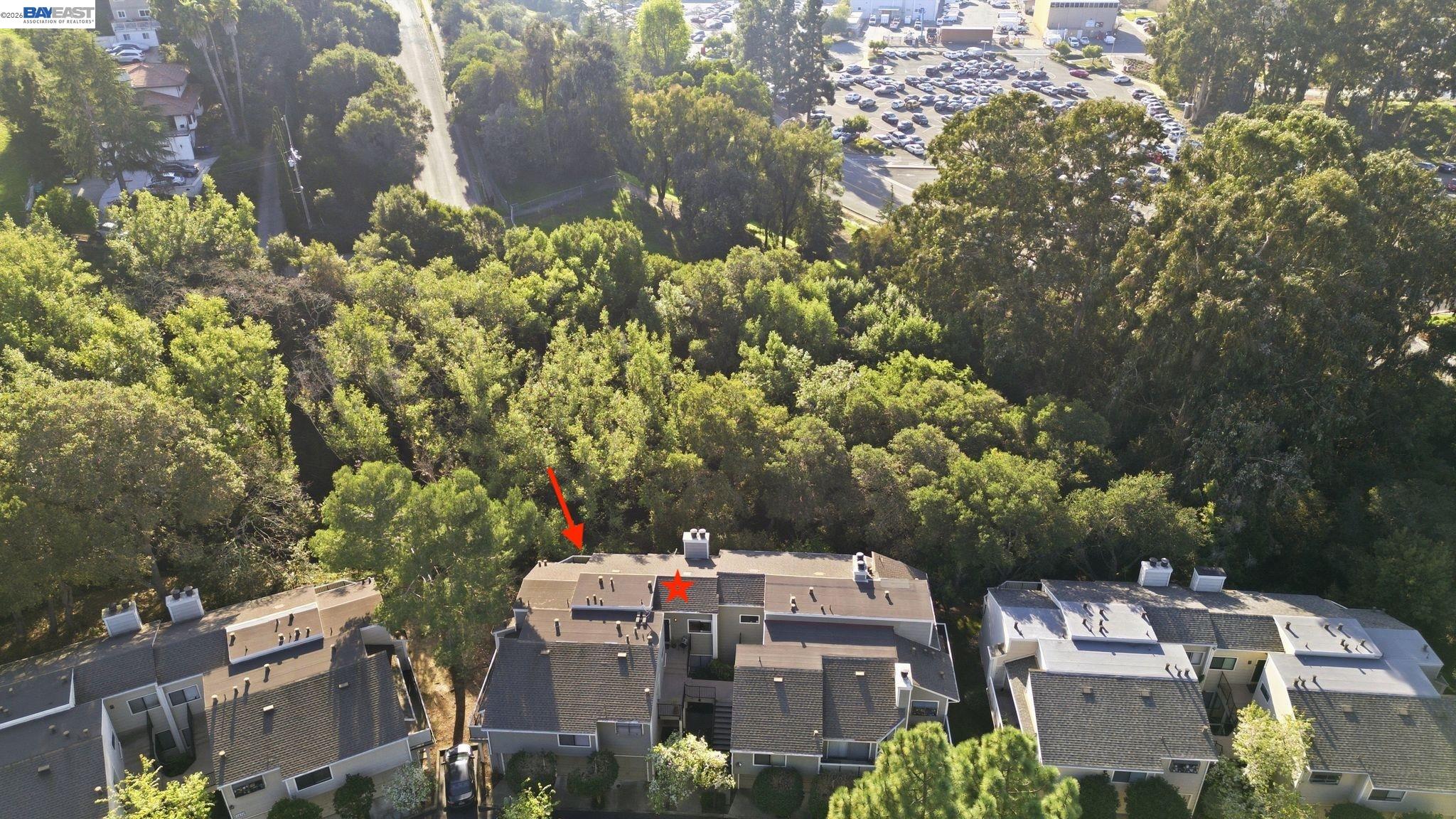 Photo #41: 41124784 Listing: Photo #41