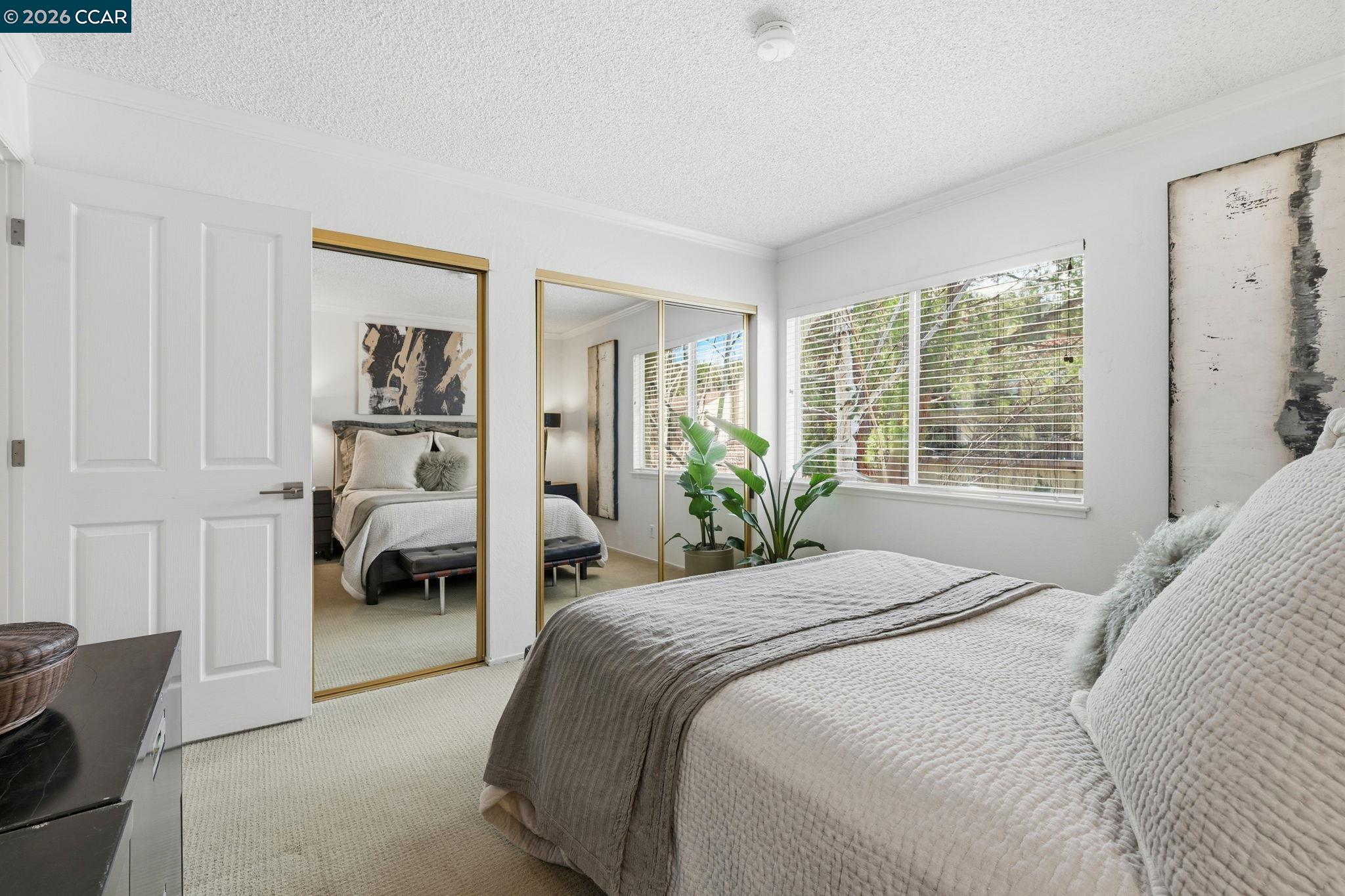 Photo #16: 41124802 Listing: Photo #16