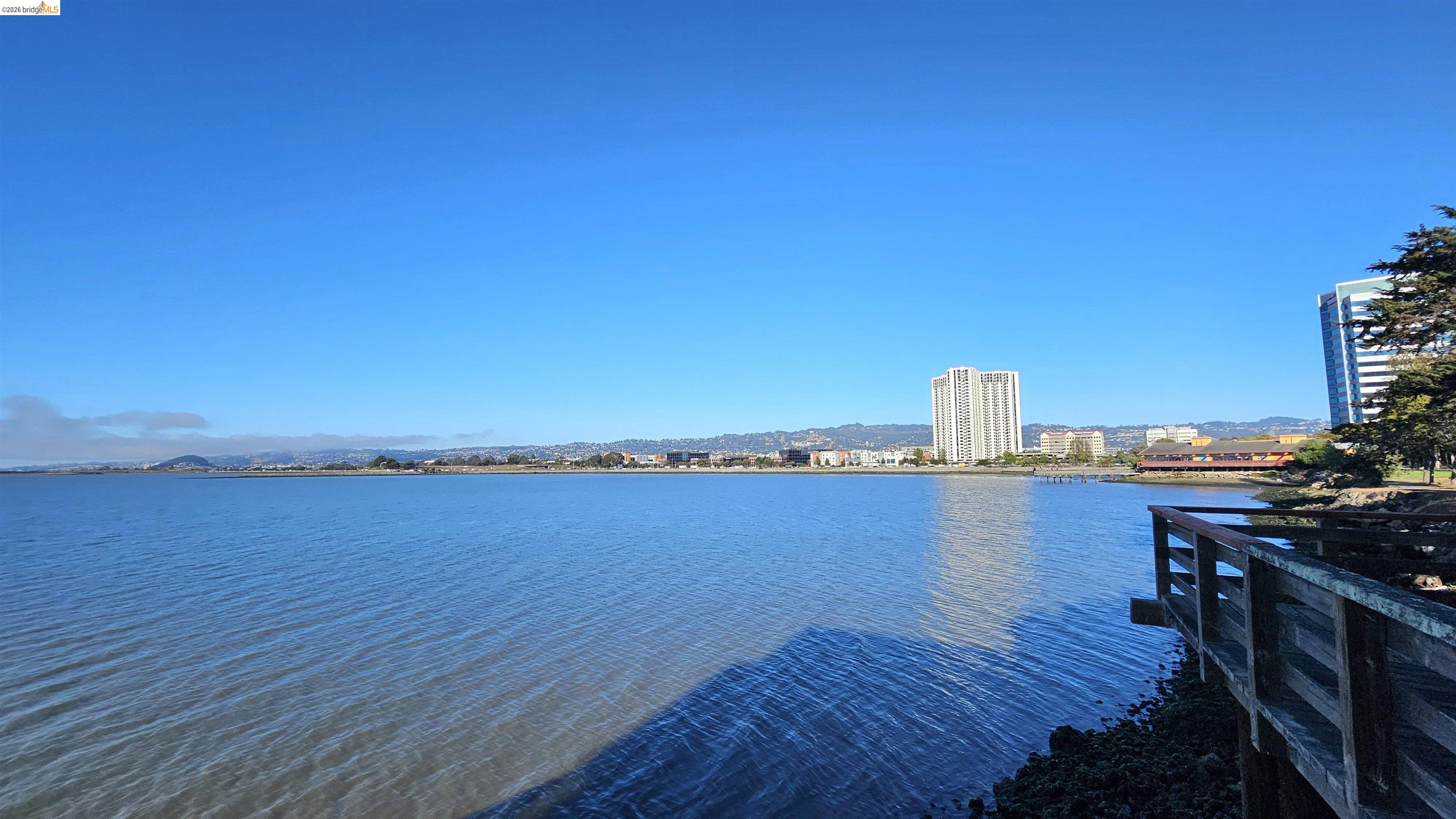 Photo #23: 41124806 Listing: Photo #23