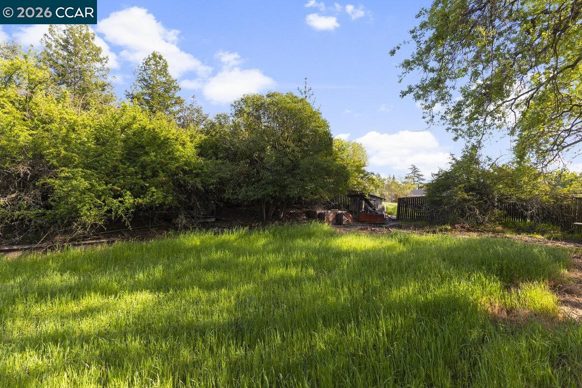 Detail Gallery Image 13 of 33 For 1101 Scots Ln, Walnut Creek,  CA 94596 - 3 Beds | 2/1 Baths