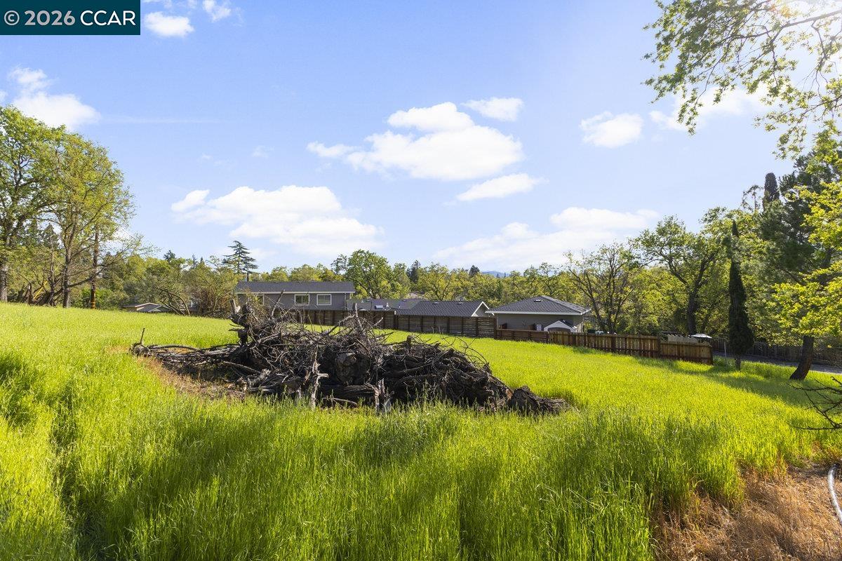 Detail Gallery Image 16 of 33 For 1101 Scots Ln, Walnut Creek,  CA 94596 - 3 Beds | 2/1 Baths