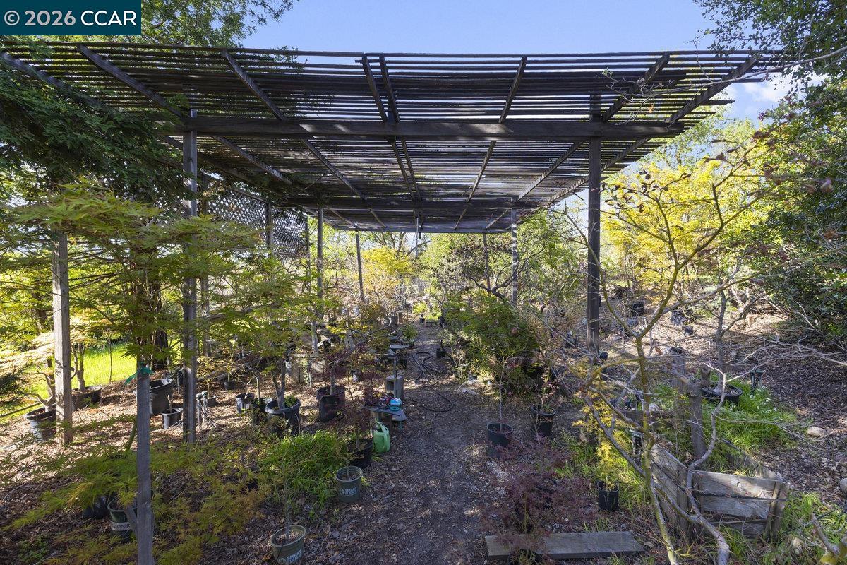 Detail Gallery Image 22 of 33 For 1101 Scots Ln, Walnut Creek,  CA 94596 - 3 Beds | 2/1 Baths