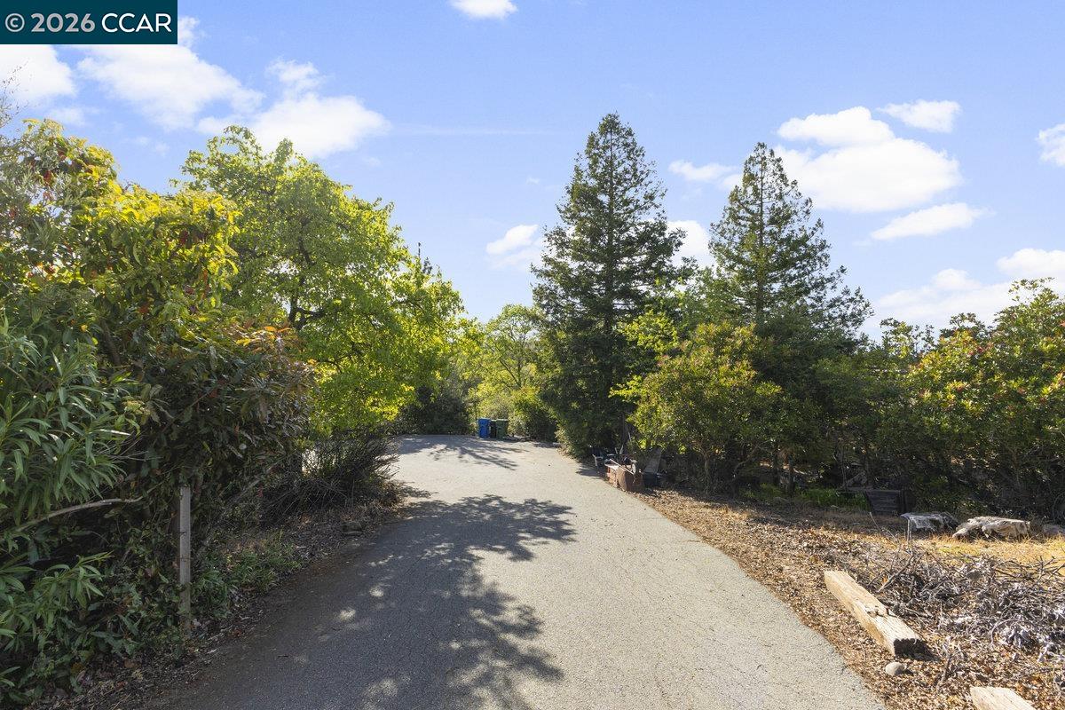 Detail Gallery Image 24 of 33 For 1101 Scots Ln, Walnut Creek,  CA 94596 - 3 Beds | 2/1 Baths