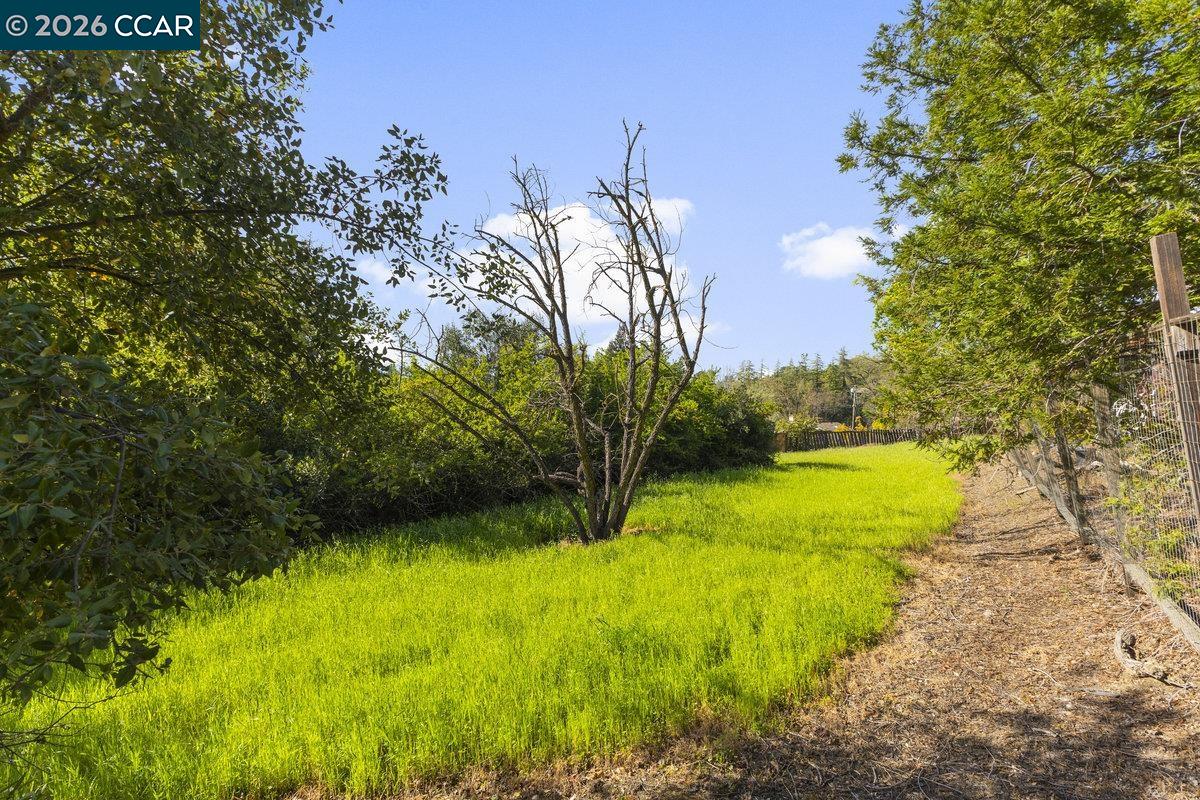 Detail Gallery Image 10 of 33 For 1101 Scots Ln, Walnut Creek,  CA 94596 - 3 Beds | 2/1 Baths