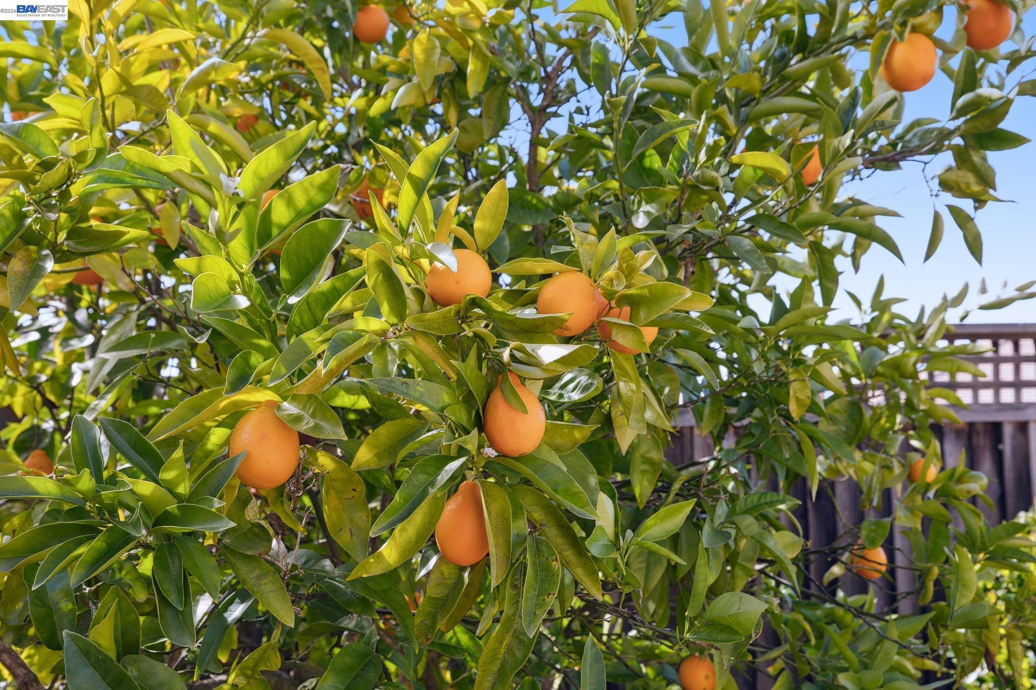 Detail Gallery Image 46 of 60 For 73 Stonebrae Rd, Hayward,  CA 94542 - 4 Beds | 4/1 Baths