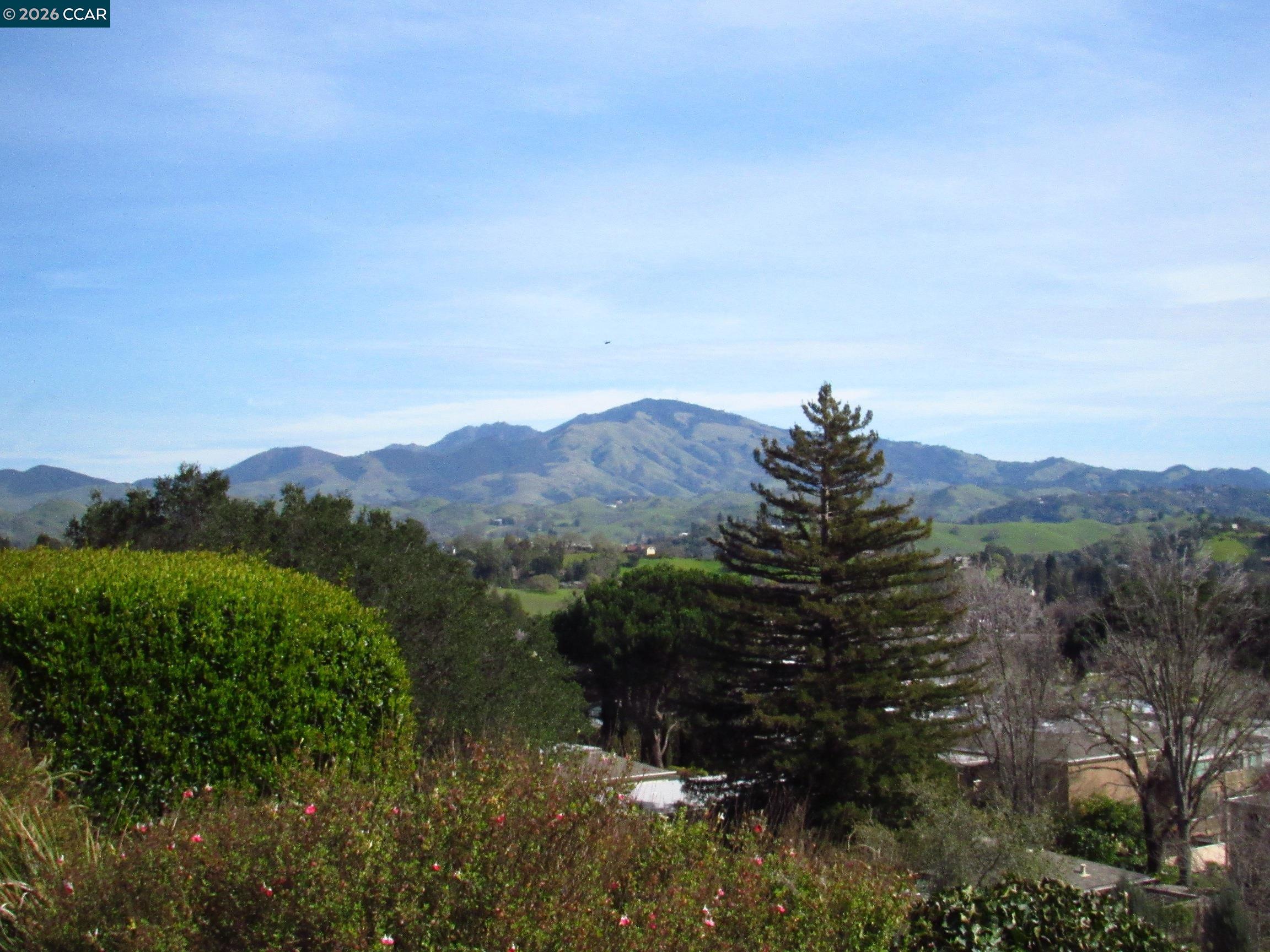 Photo #1: 41124869 Listing: Photo #1