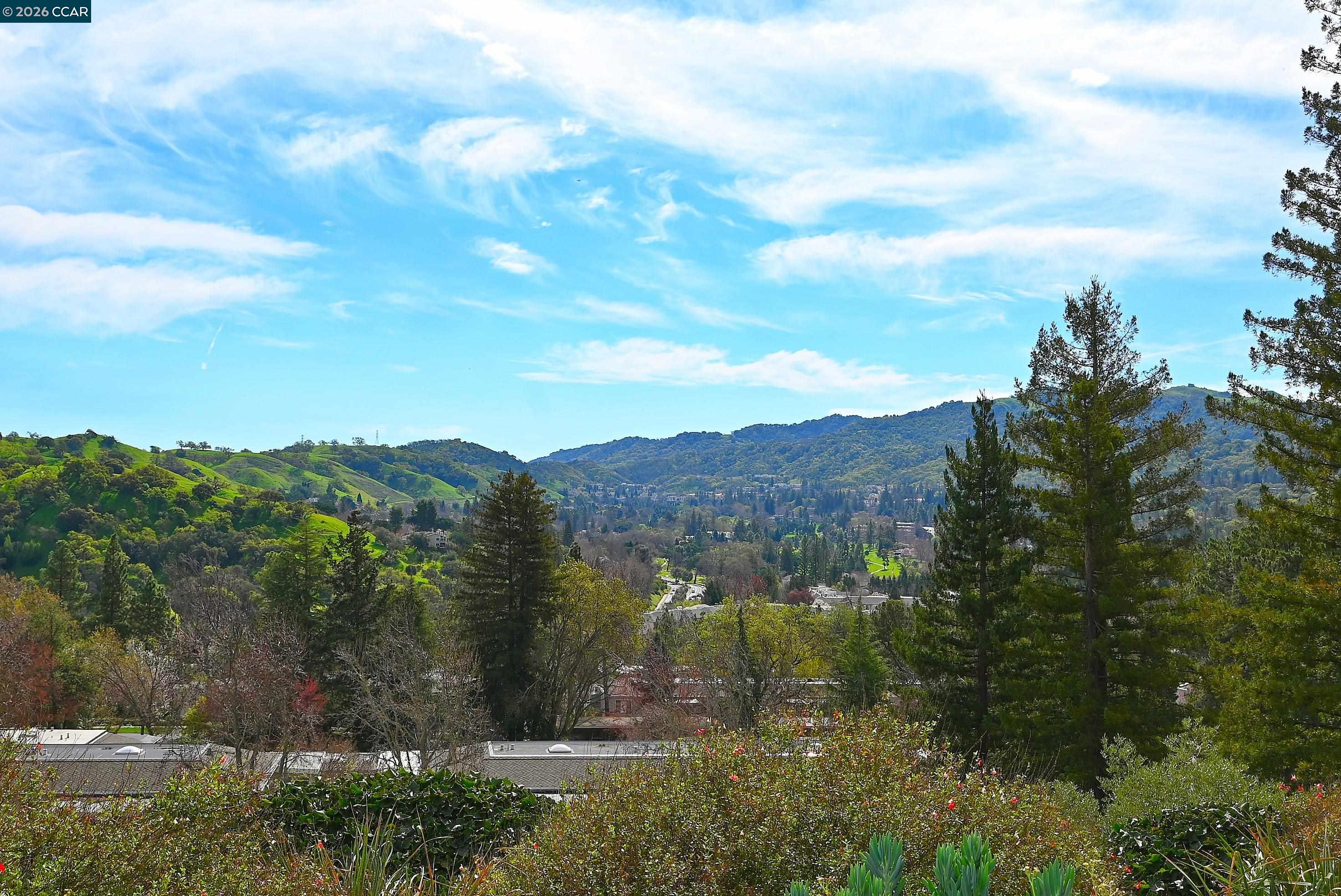 Photo #4: 41124869 Listing: Photo #4