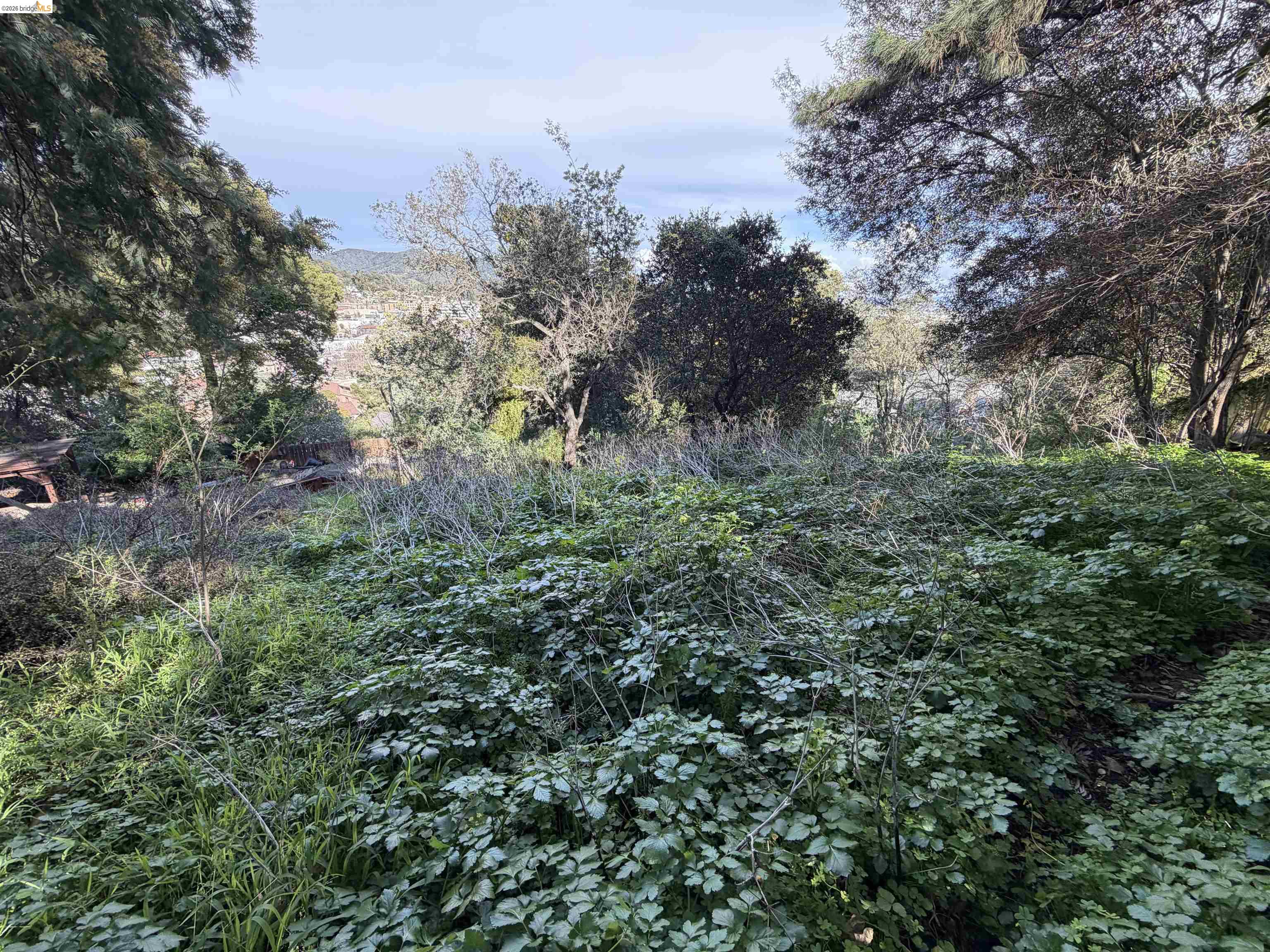 Detail Gallery Image 3 of 11 For 59, 60 Clayton St., San Rafael,  CA 94901 - – Beds | – Baths