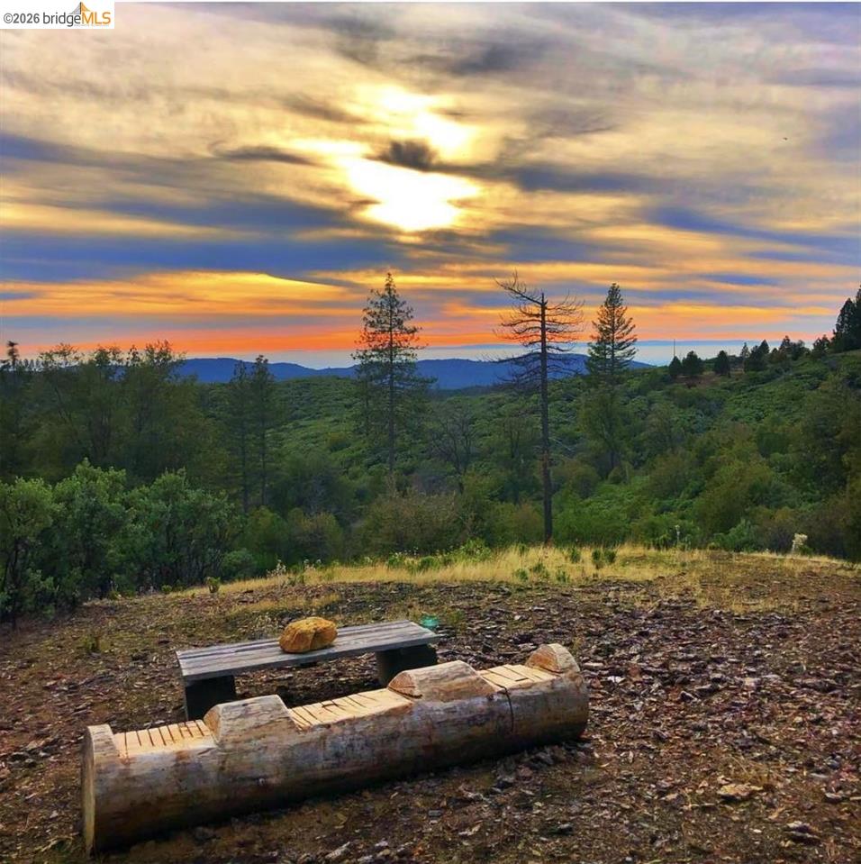 Detail Gallery Image 2 of 8 For 19751 Incense Cedar Trail, Groveland,  CA 95321 - – Beds | – Baths