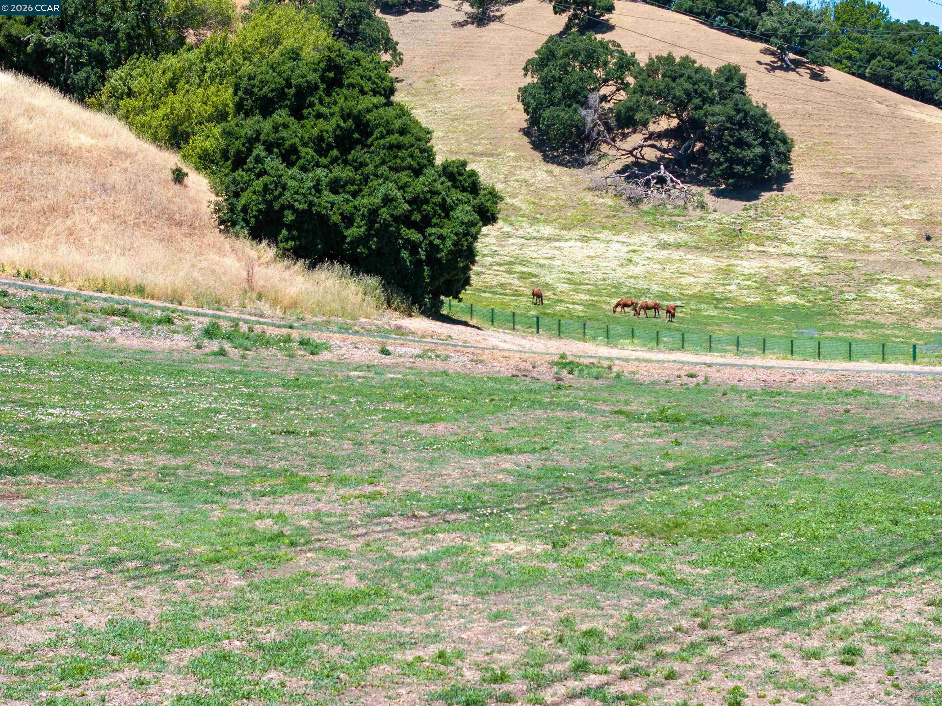 Detail Gallery Image 34 of 40 For 60 Hampton Road, Martinez,  CA 94553 - 2 Beds | 2 Baths