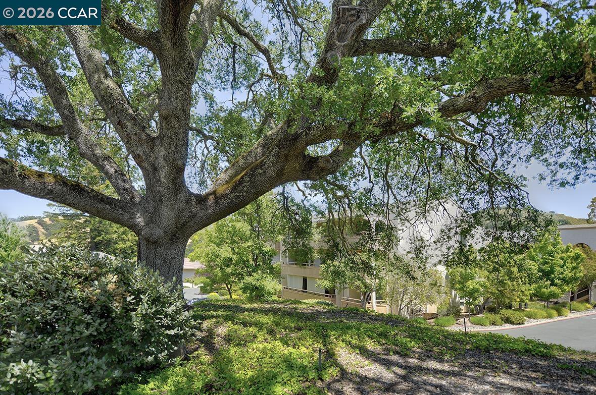 4033 Terra Granada Dr UNIT 9C, Walnut Creek, CA, 94595