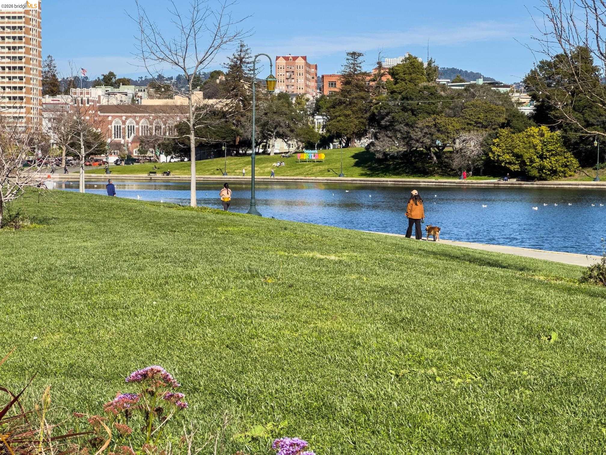 Detail Gallery Image 13 of 22 For 429 Euclid Ave, Oakland,  CA 94610 - – Beds | – Baths