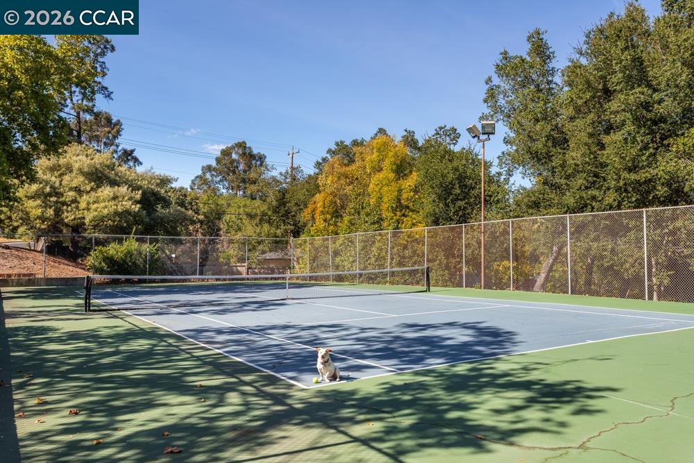 Photo #21: 41124974 Listing: Photo #21