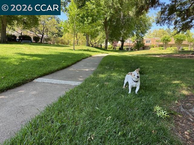 Photo #23: 41124974 Listing: Photo #23