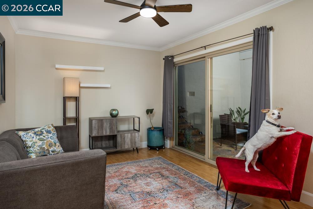 Photo #10: 41124974 Listing: Photo #10