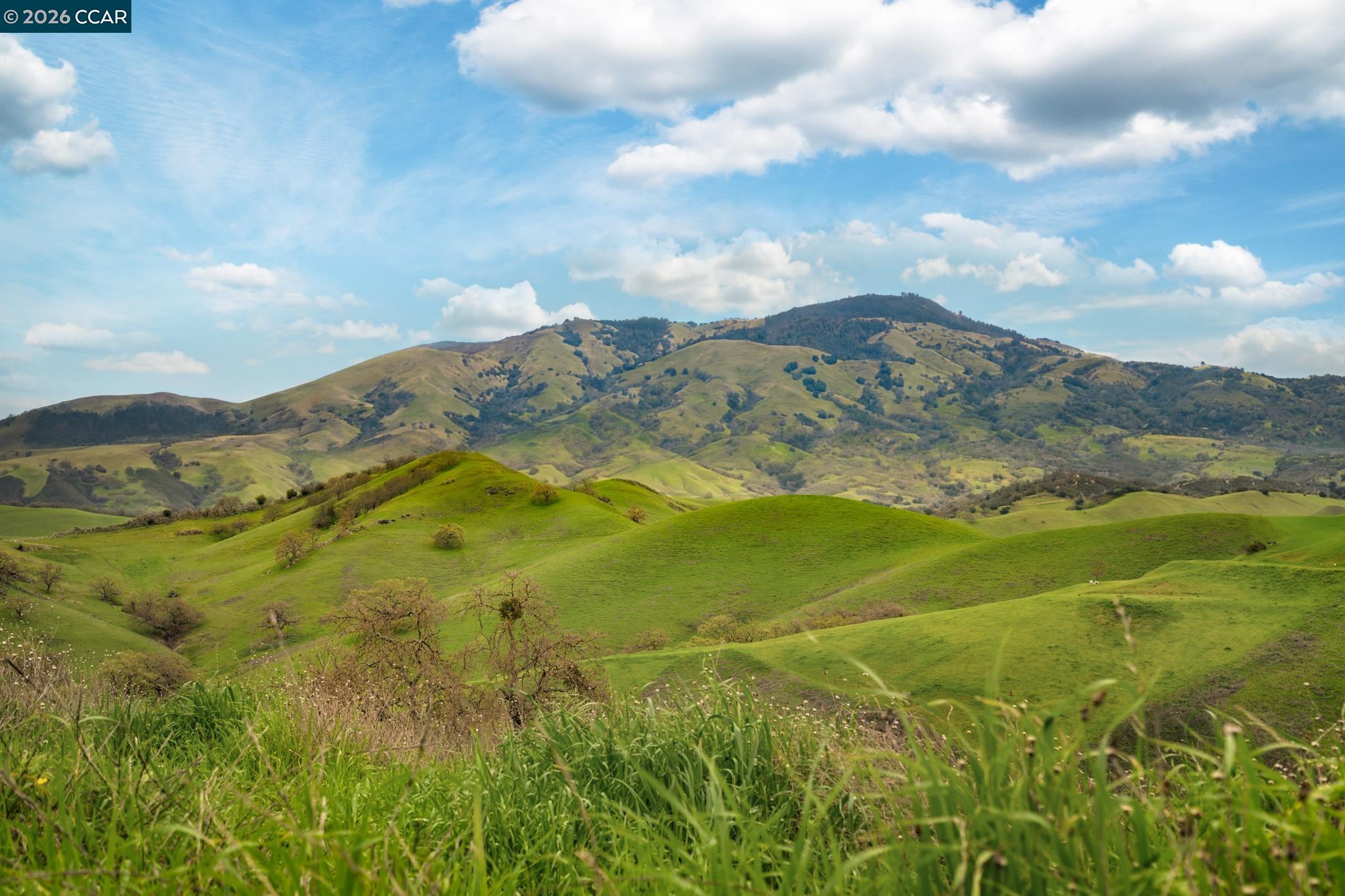 Detail Gallery Image 47 of 51 For 145 Sugar Creek Ln, Alamo,  CA 94507 - 4 Beds | 3/1 Baths
