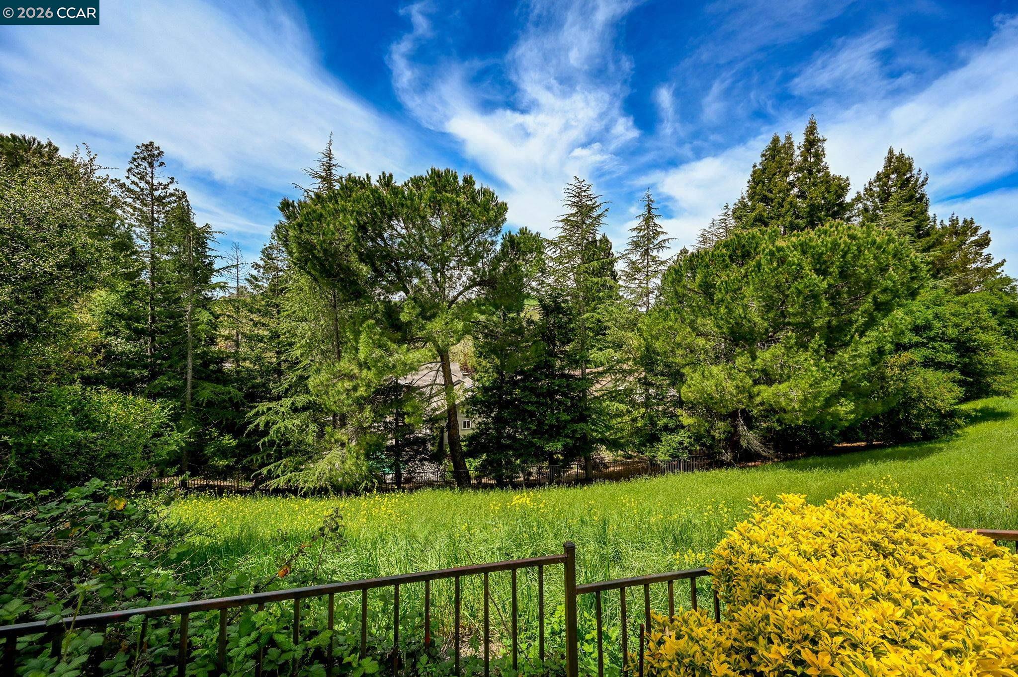 Detail Gallery Image 27 of 36 For 715 Blue Spruce Dr, Danville,  CA 94506 - 4 Beds | 3 Baths