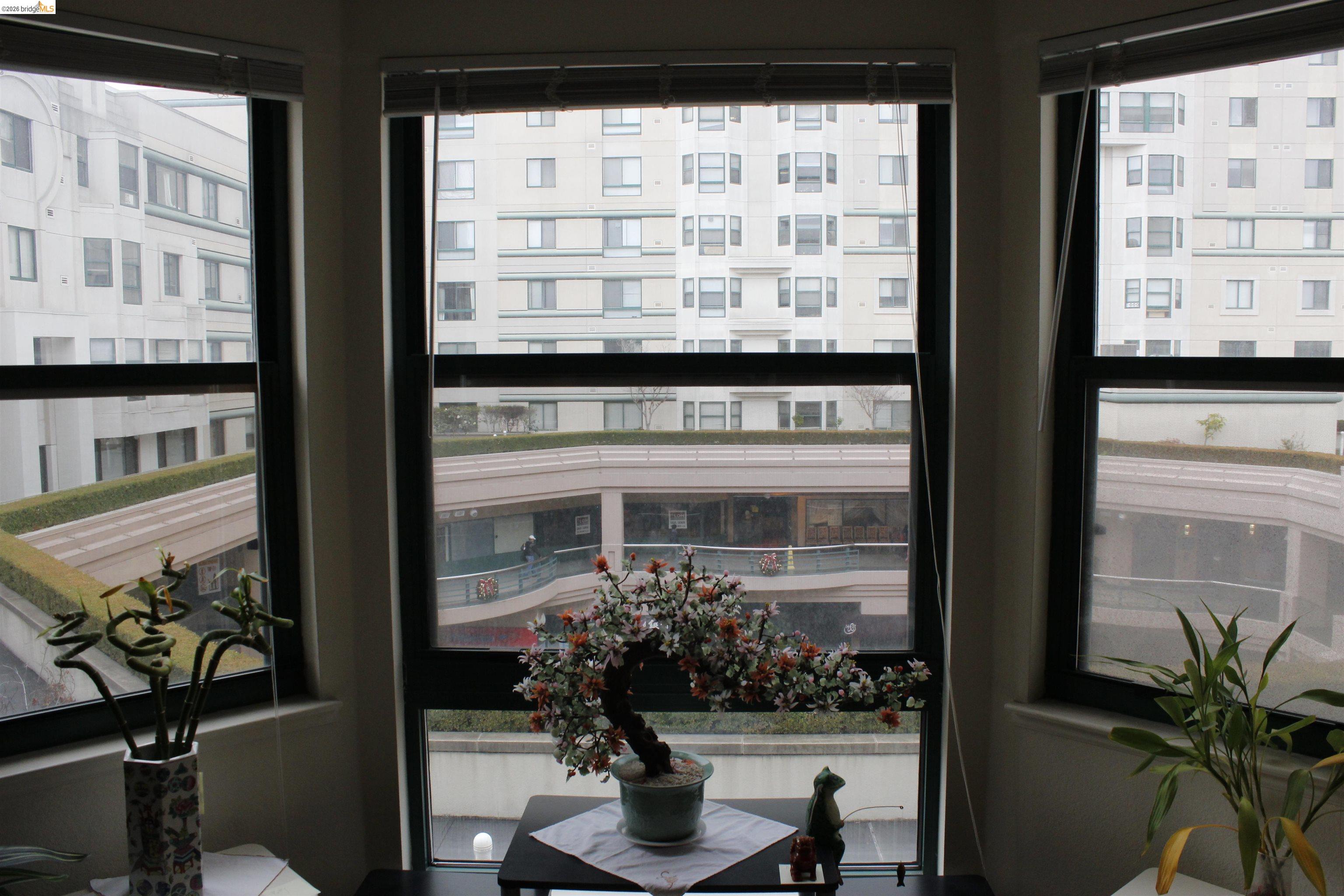 Photo #3: 41125049 Listing: Photo #3