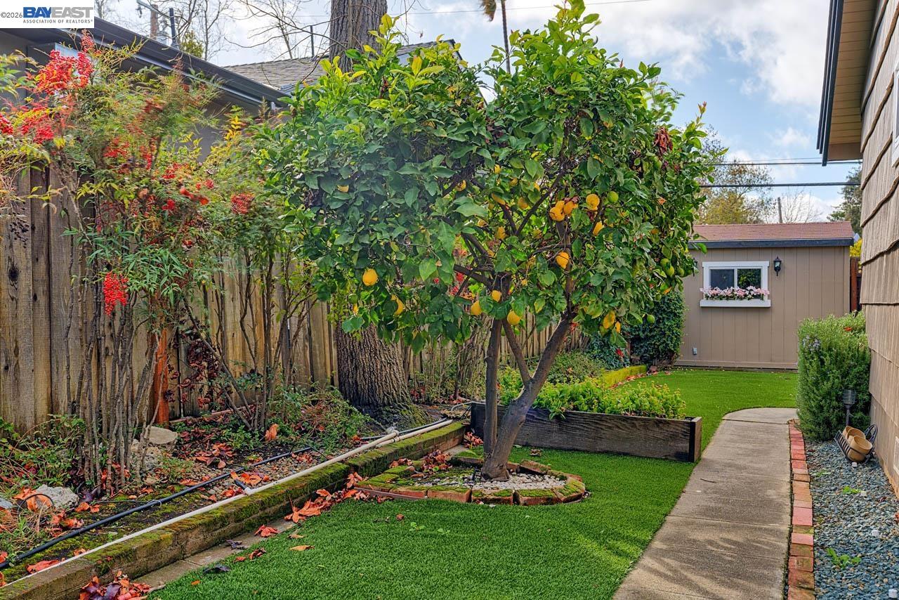 Detail Gallery Image 34 of 39 For 1515 Miramonte Ave, Mountain View,  CA 94040 - 4 Beds | 2 Baths