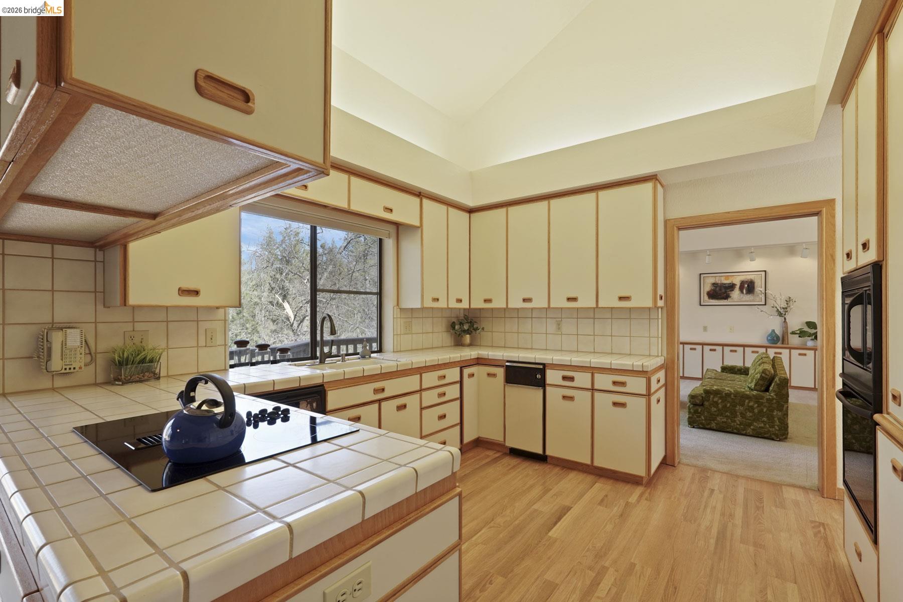 Detail Gallery Image 9 of 49 For 14029 Barlupi Circle, Sonora,  CA 95370 - 3 Beds | 2/1 Baths