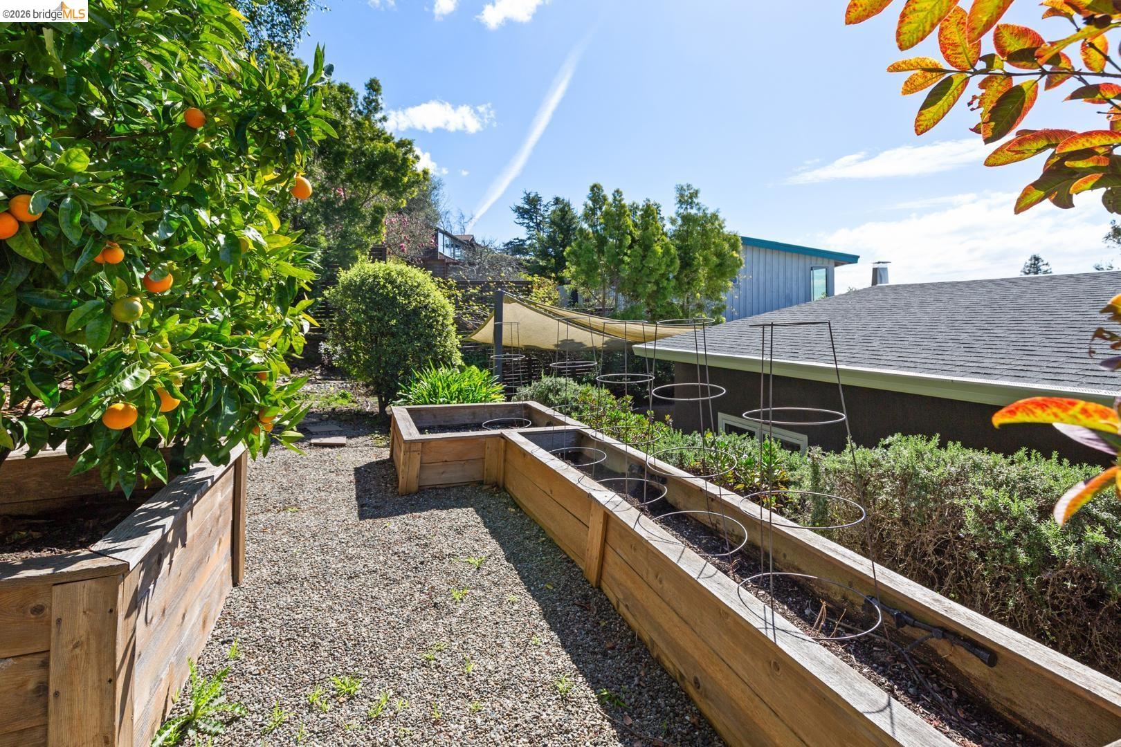 Detail Gallery Image 32 of 33 For 1119 Miller Ave, Berkeley,  CA 94708 - 4 Beds | 2 Baths