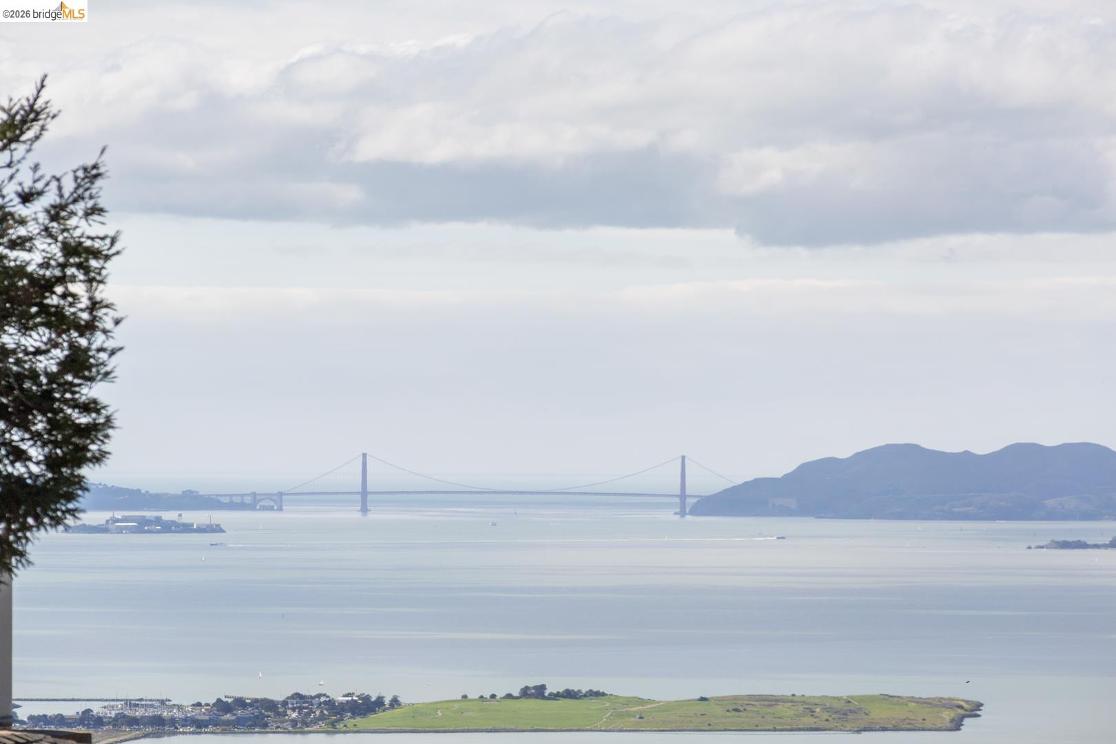 Detail Gallery Image 33 of 33 For 1119 Miller Ave, Berkeley,  CA 94708 - 4 Beds | 2 Baths