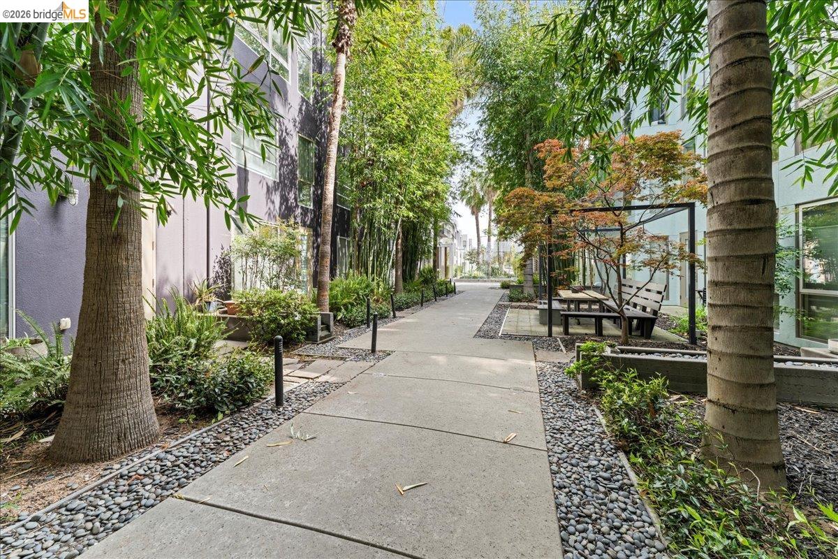 Photo #15: 41125105 Listing: Photo #15