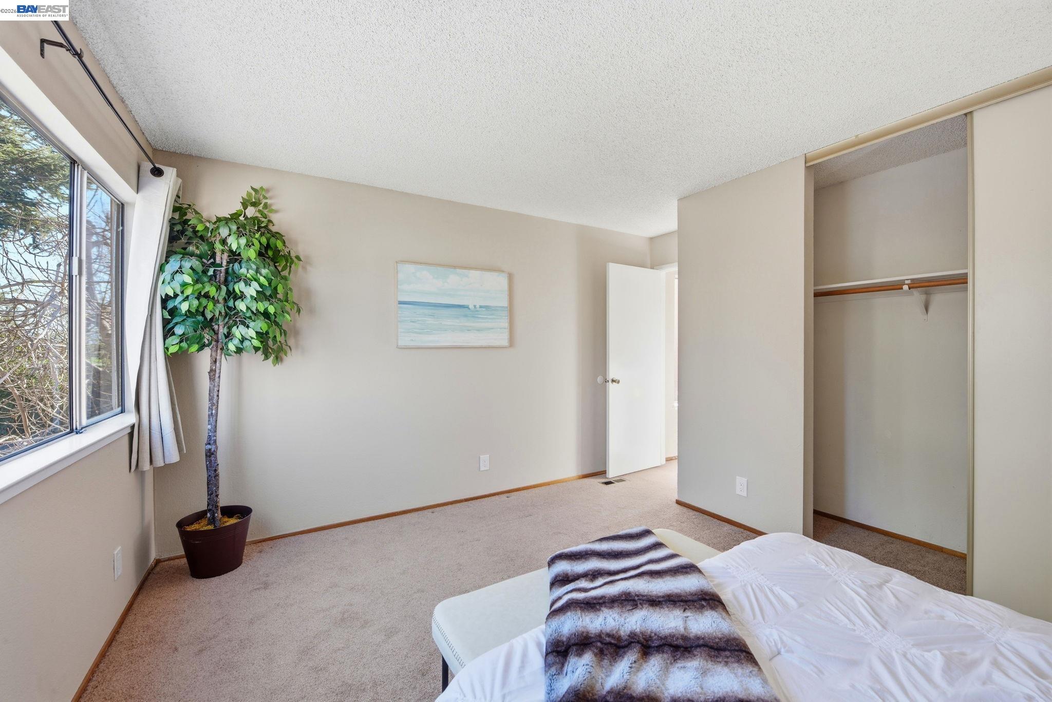 Photo #23: 41125108 Listing: Photo #23