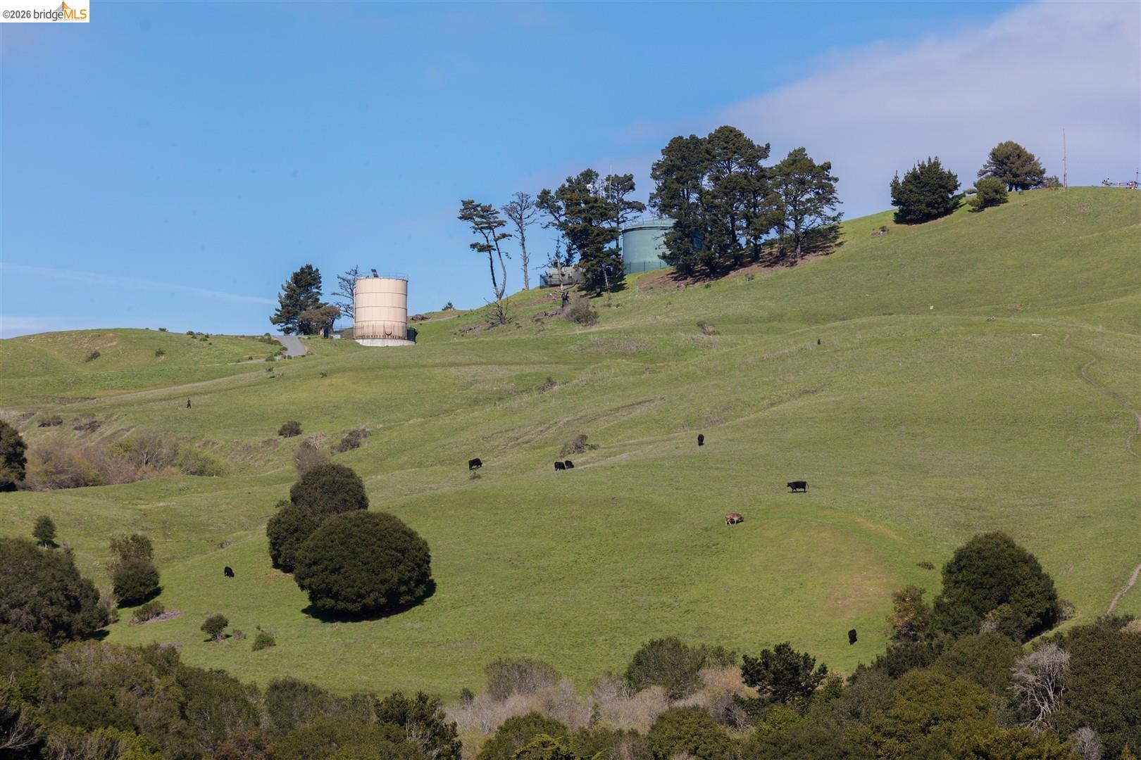 Detail Gallery Image 13 of 60 For 6065 Dimm Way, Richmond,  CA 94805 - 5 Beds | 4/1 Baths