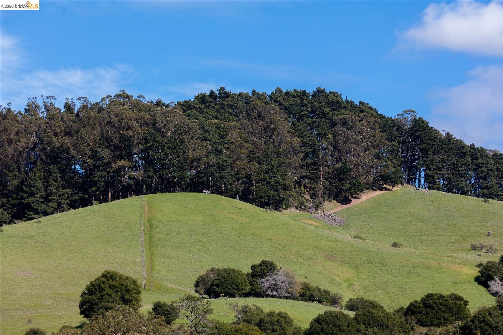 Detail Gallery Image 14 of 60 For 6065 Dimm Way, Richmond,  CA 94805 - 5 Beds | 4/1 Baths