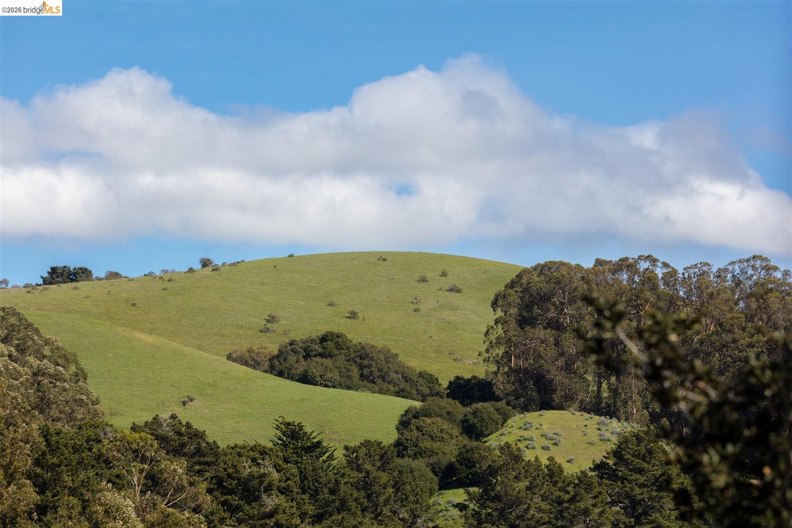 Detail Gallery Image 15 of 60 For 6065 Dimm Way, Richmond,  CA 94805 - 5 Beds | 4/1 Baths