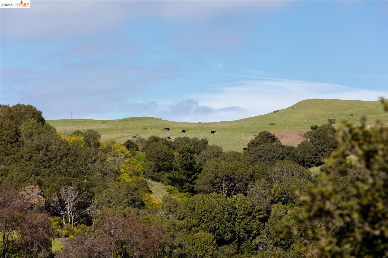 Detail Gallery Image 16 of 60 For 6065 Dimm Way, Richmond,  CA 94805 - 5 Beds | 4/1 Baths