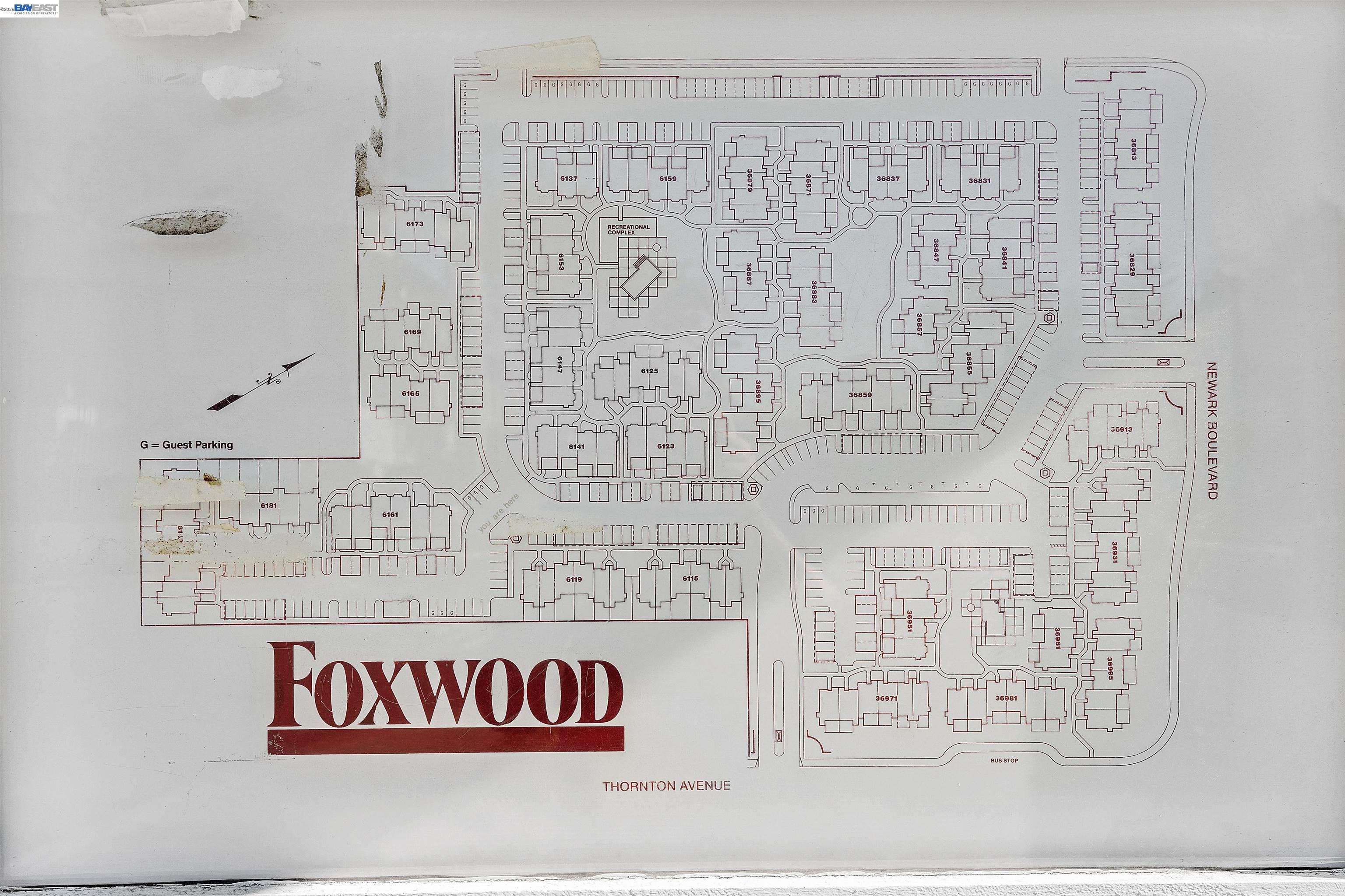 Photo #3: 41125140 Listing: Photo #3