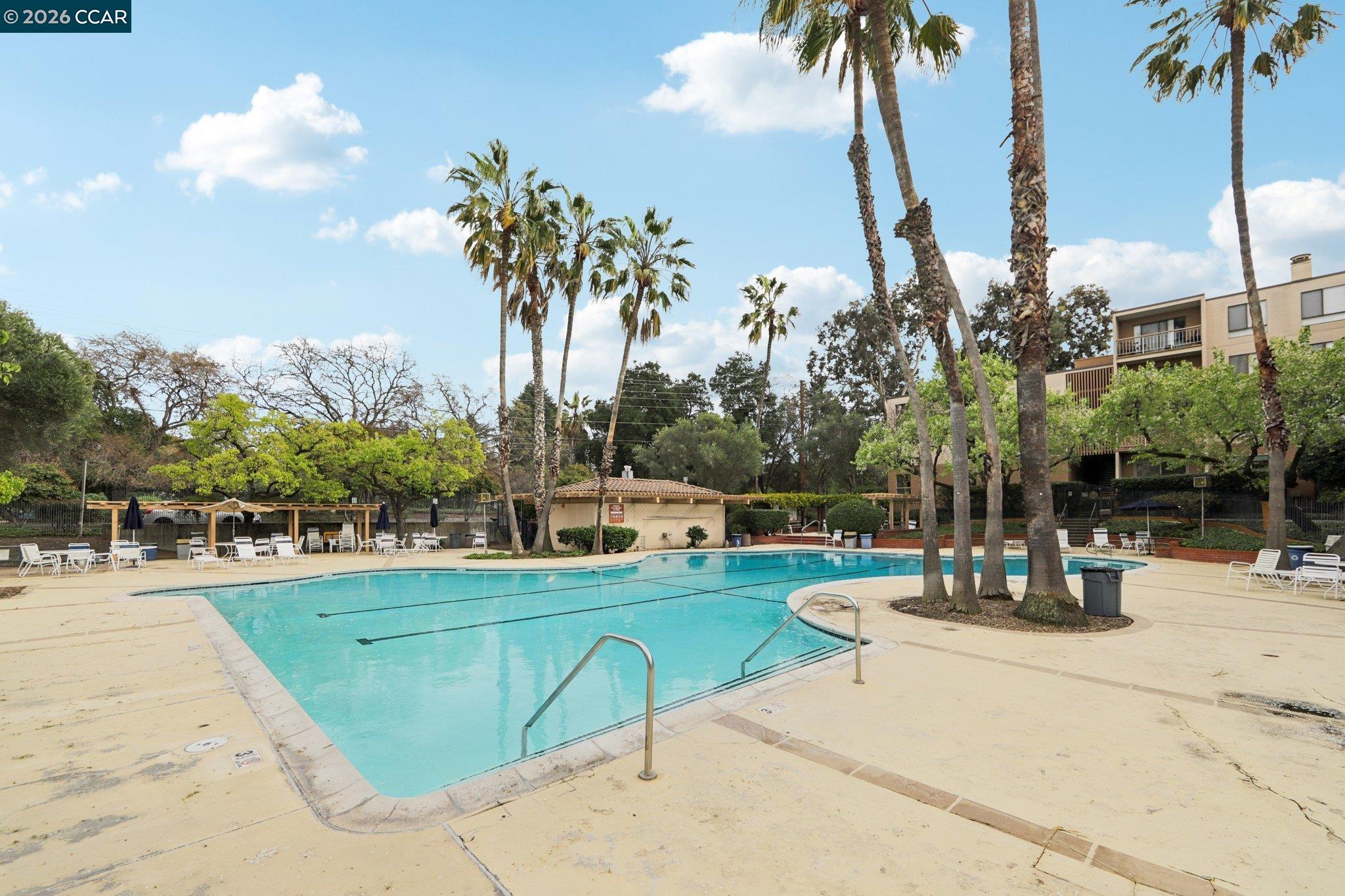 Photo #42: 41125180 Listing: Photo #42