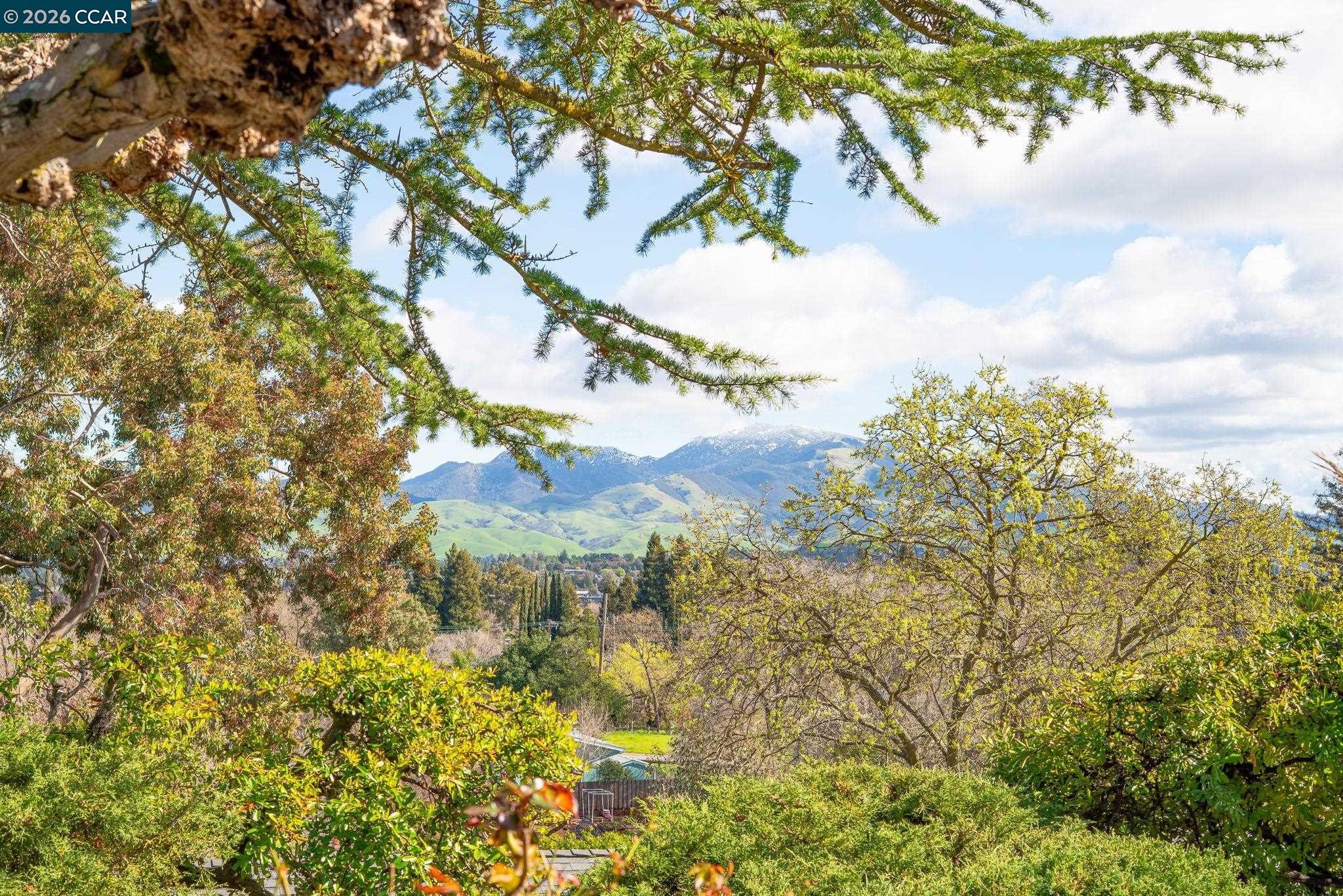 Detail Gallery Image 2 of 49 For 2081 Essenay Ave, Walnut Creek,  CA 94597 - 3 Beds | 2 Baths