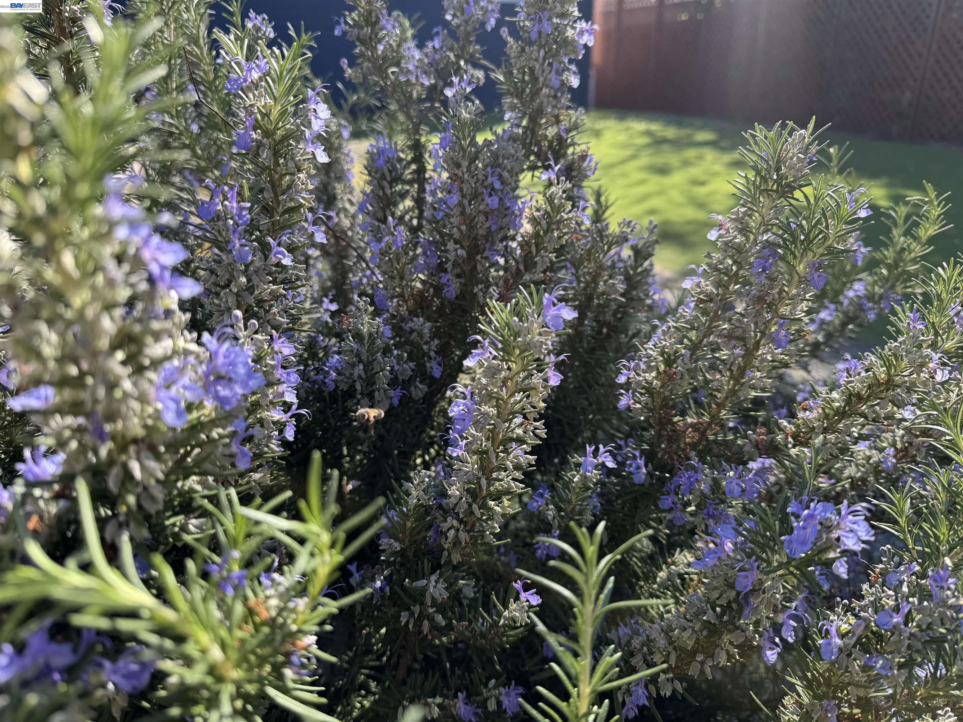 Detail Gallery Image 24 of 27 For 2672 Watson St, Castro Valley,  CA 94546 - 3 Beds | 1/1 Baths