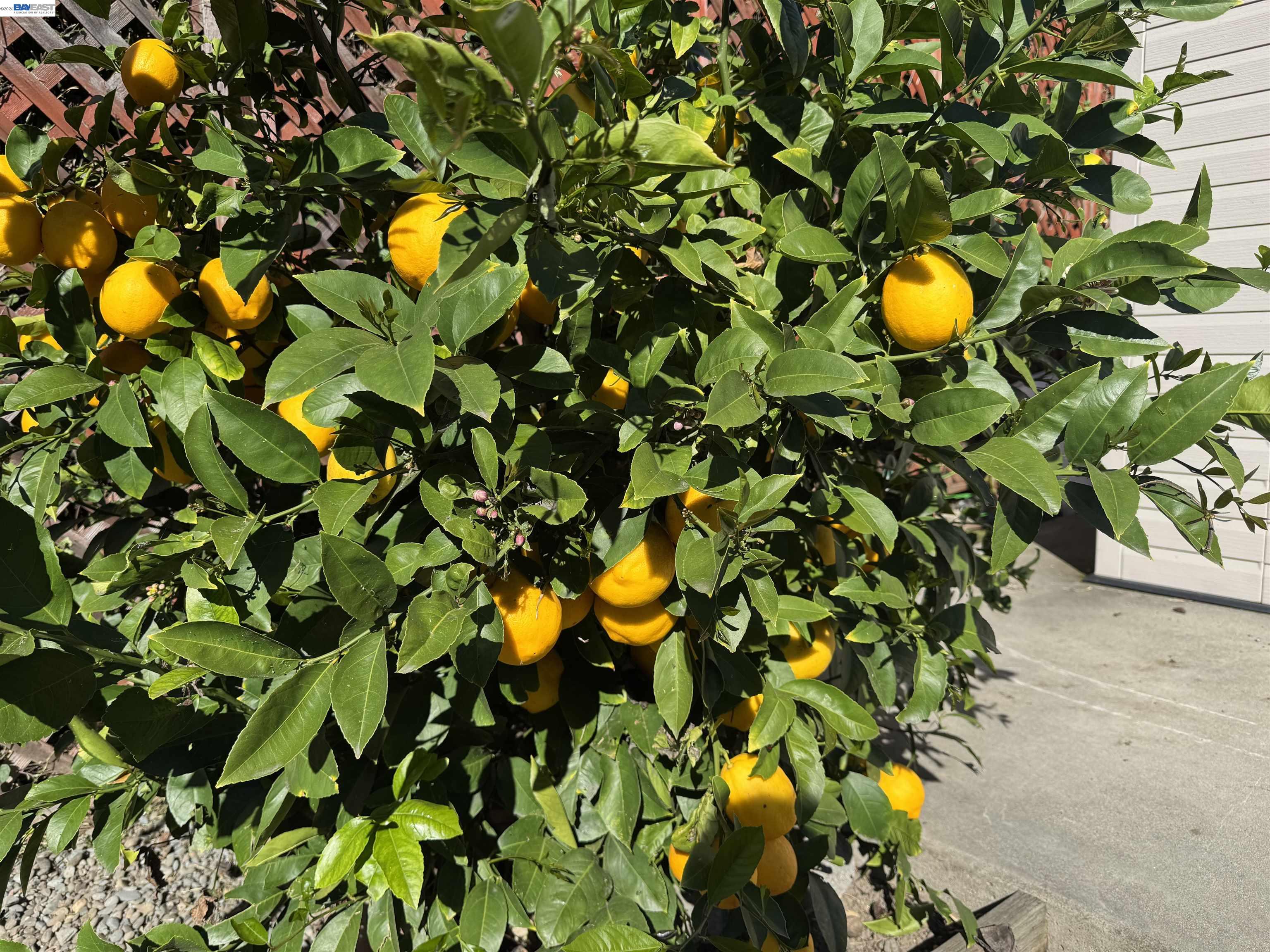 Detail Gallery Image 26 of 27 For 2672 Watson St, Castro Valley,  CA 94546 - 3 Beds | 1/1 Baths